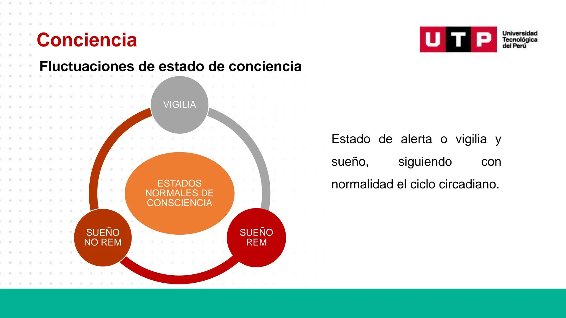 # Bases biológicas del
comportamiento
Sesión 13: Atención y conciencia
Universidad
UTP Tecnológica
del Perú Recordemos
Universidad
UTP Te