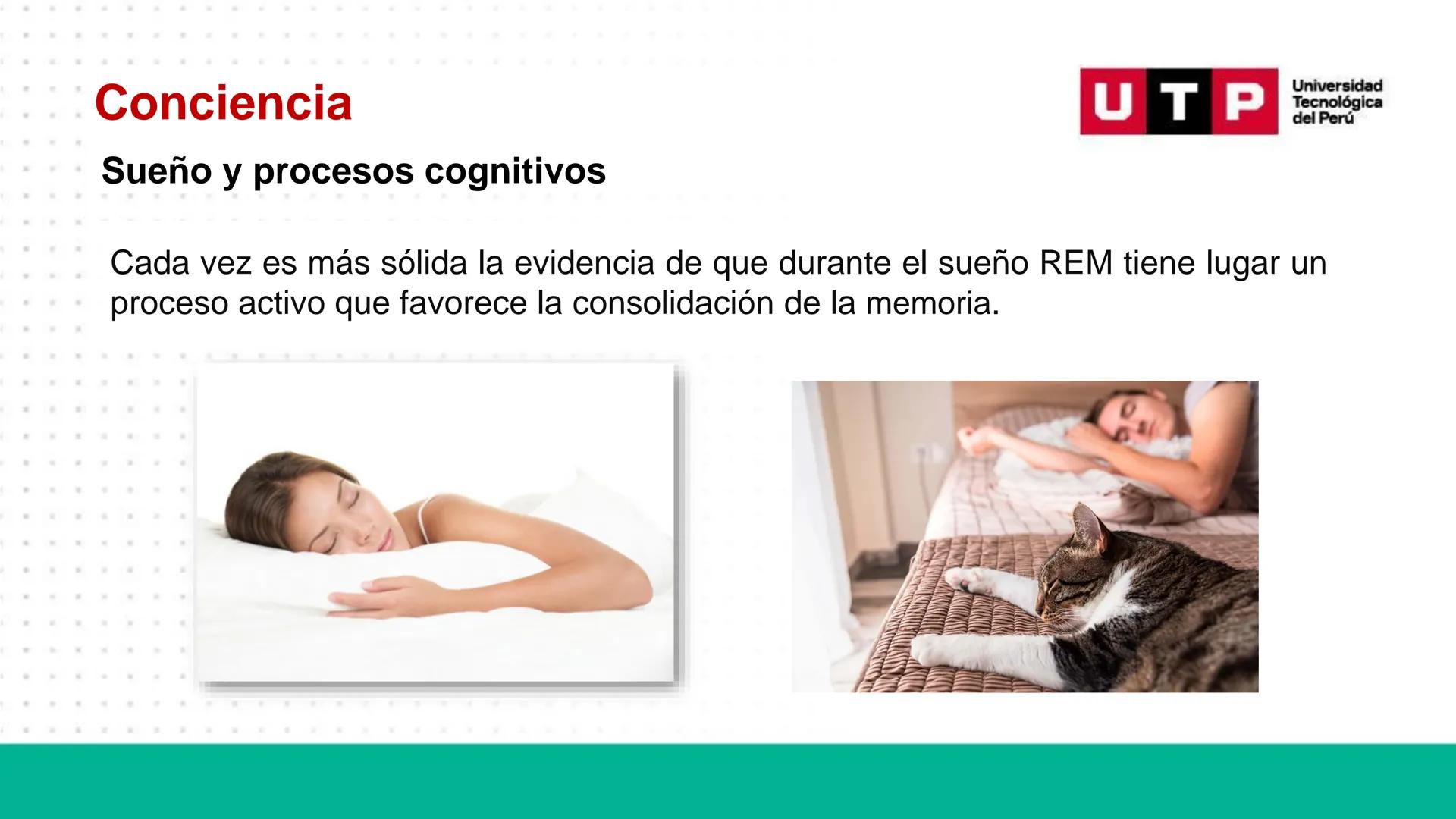 # Bases biológicas del
comportamiento
Sesión 13: Atención y conciencia
Universidad
UTP Tecnológica
del Perú Recordemos
Universidad
UTP Te