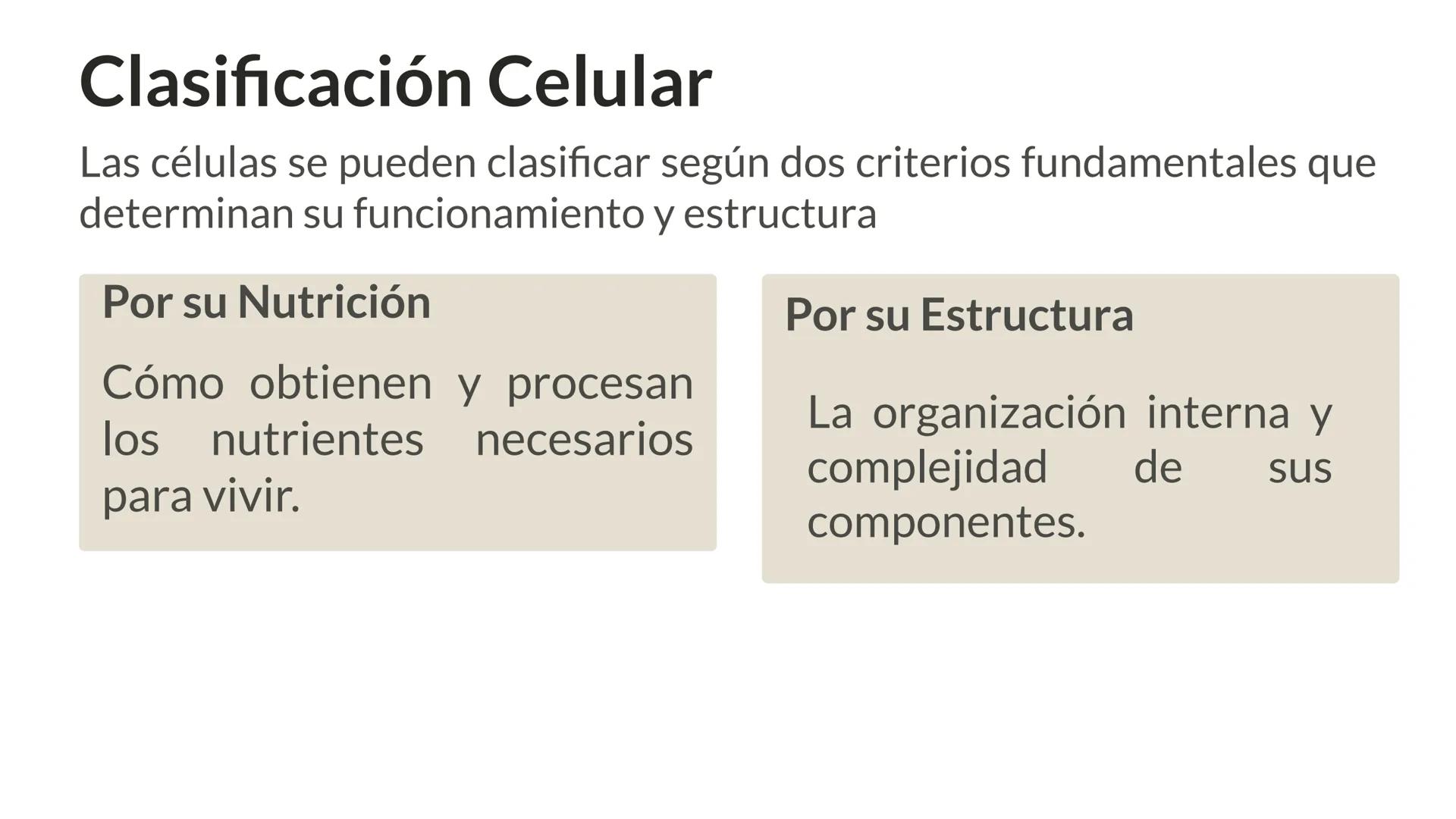 # CITOLOGÍA # Teoría celular
Hace aproximadamente 300 años, los científicos europeos comenzaron a
desarrollar los microscopios, que fueron