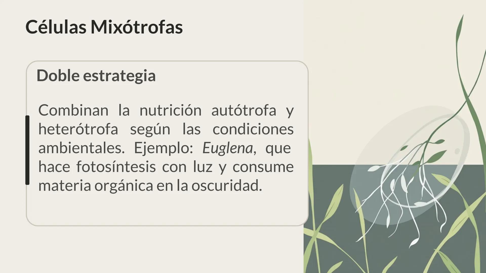 # CITOLOGÍA # Teoría celular
Hace aproximadamente 300 años, los científicos europeos comenzaron a
desarrollar los microscopios, que fueron