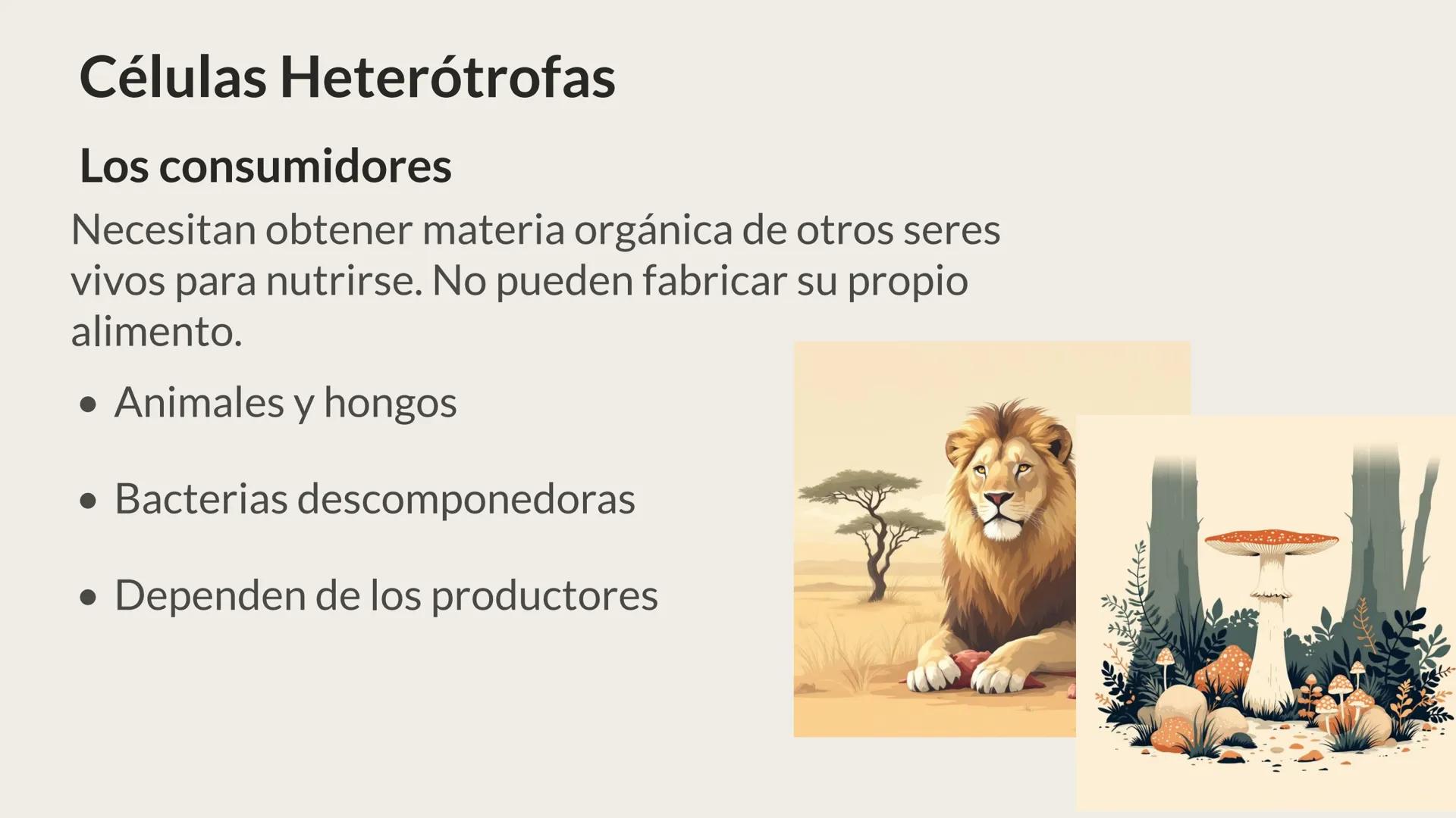 # CITOLOGÍA # Teoría celular
Hace aproximadamente 300 años, los científicos europeos comenzaron a
desarrollar los microscopios, que fueron