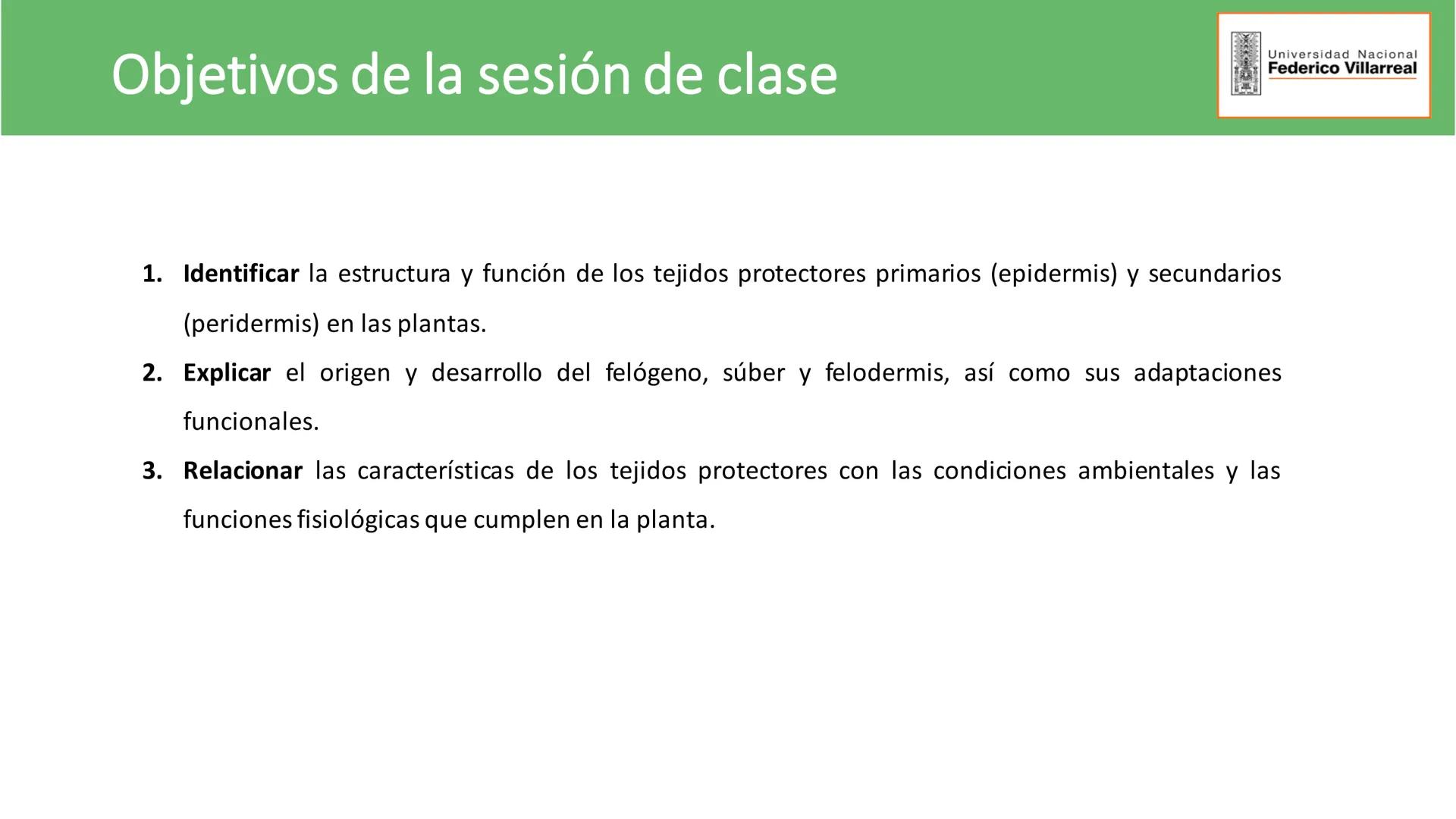 Universidad Nacional
Federico Villarreal
FACULTAD DE CIENCIAS
NATURALES Y MATEMATICA
TEJIDOS ADULTOS: TEJIDOS DE PROTECCIÓN
Docente: Dra