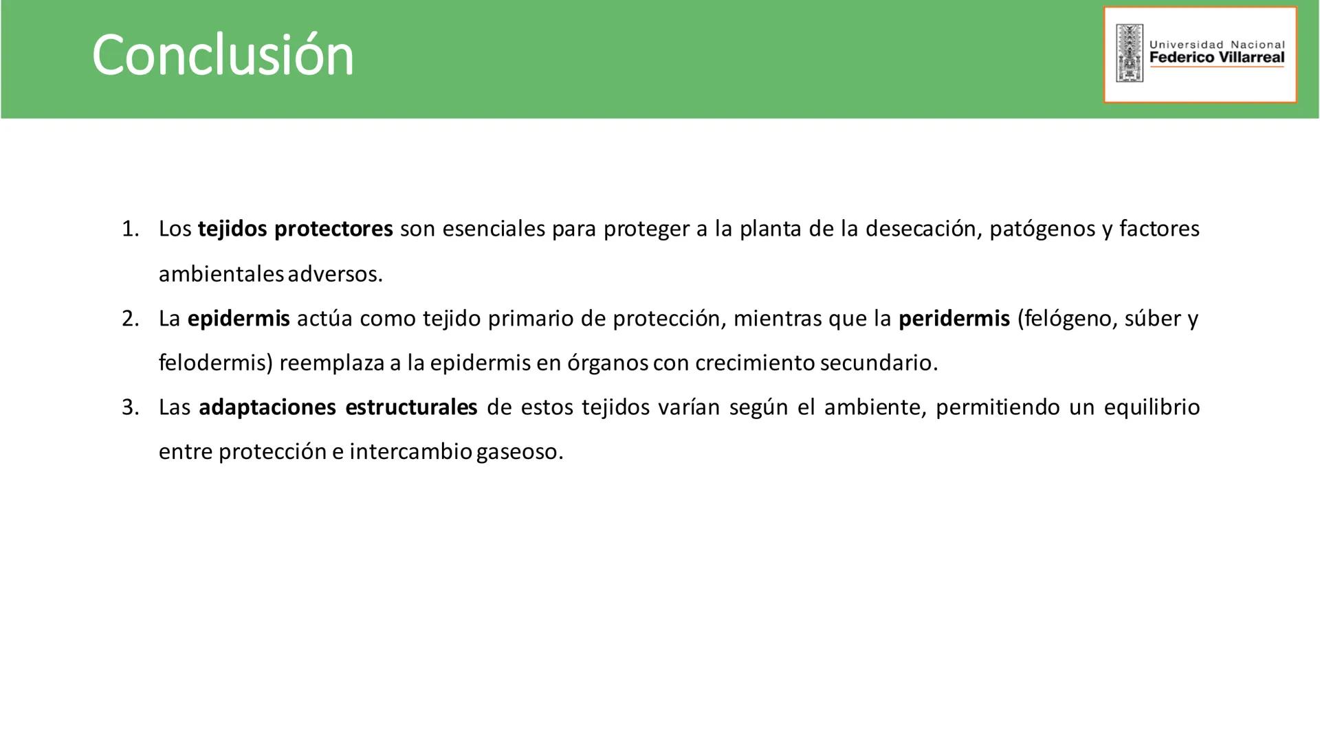 Universidad Nacional
Federico Villarreal
FACULTAD DE CIENCIAS
NATURALES Y MATEMATICA
TEJIDOS ADULTOS: TEJIDOS DE PROTECCIÓN
Docente: Dra