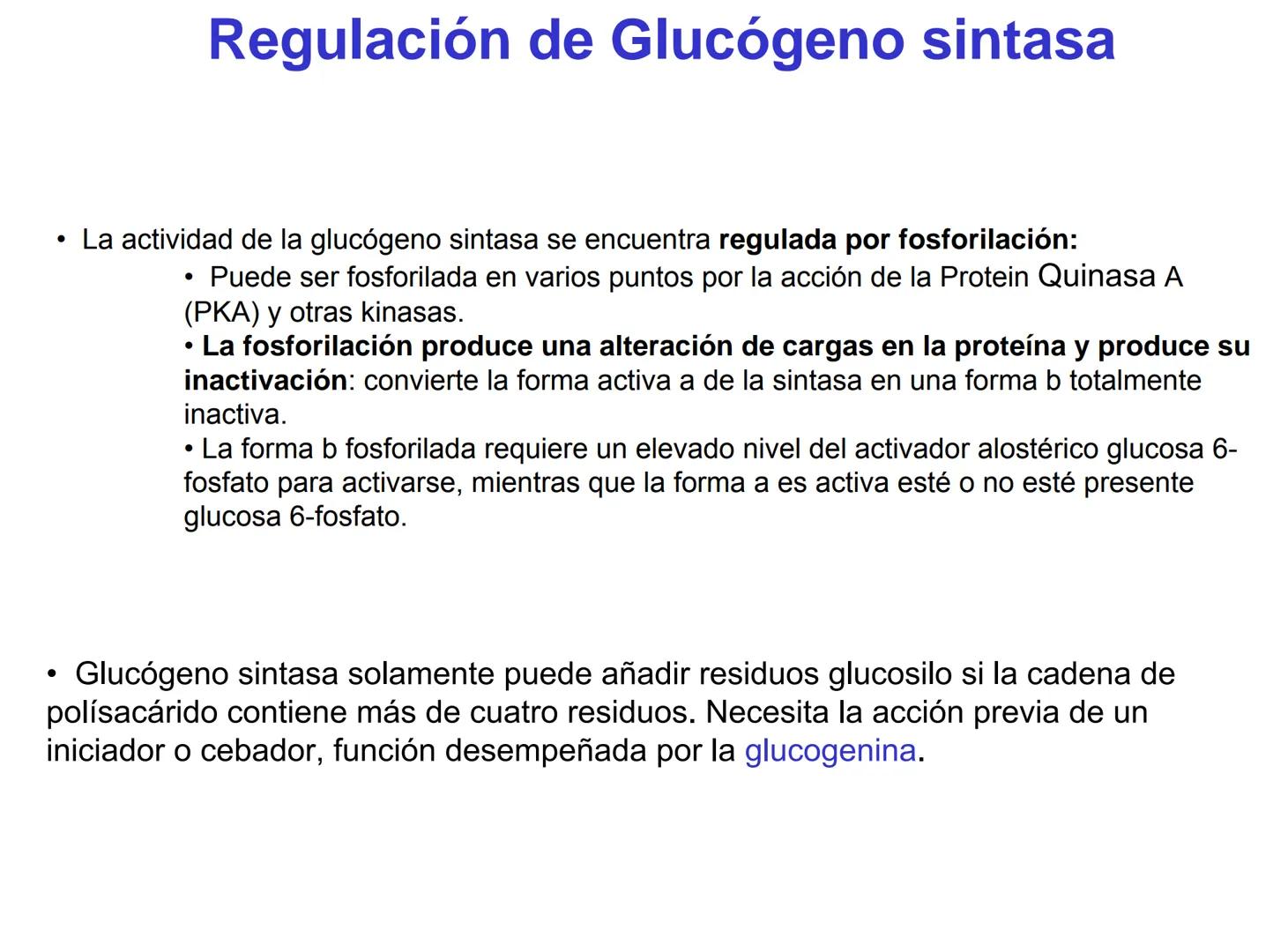 # Metabolismo del glucógeno
CH2OH
CH2OH
CH2OH
0
OH
OH
Nonreducing
ends
HO
OH 1 α-1,6 linkage
α-1,4 linkage
OH
6 CH2
10.000.00