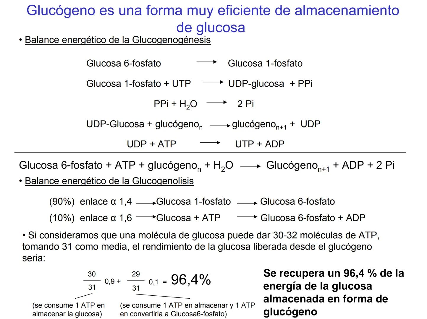 # Metabolismo del glucógeno
CH2OH
CH2OH
CH2OH
0
OH
OH
Nonreducing
ends
HO
OH 1 α-1,6 linkage
α-1,4 linkage
OH
6 CH2
10.000.00