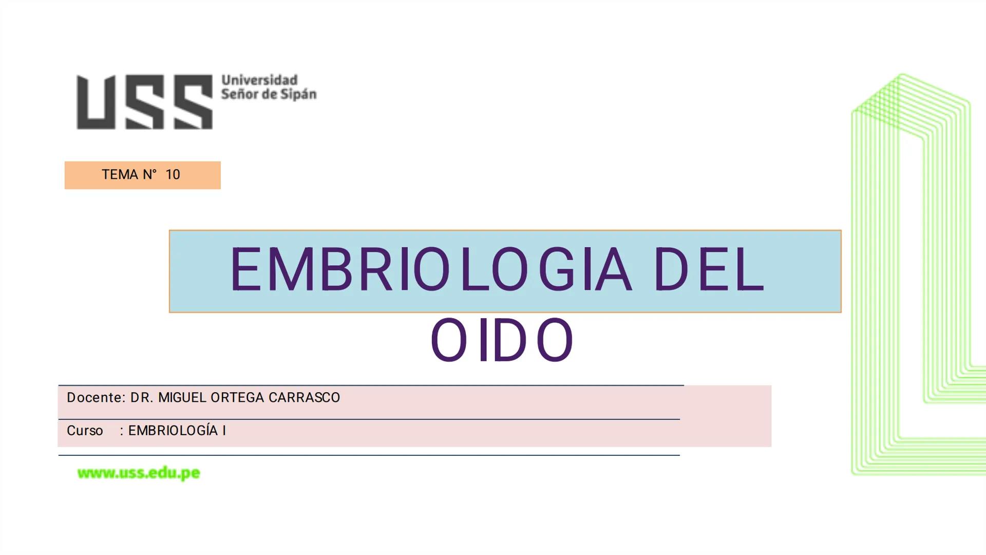 TRANSFORMA TU MUNDO EN
LA U MÁS TOP DE LA REGIÓN. @ussipan
USS
Universidad
Señor de Sipán クク
Universidad
Señor de Sipán
TEMA N° 10
EMBRI