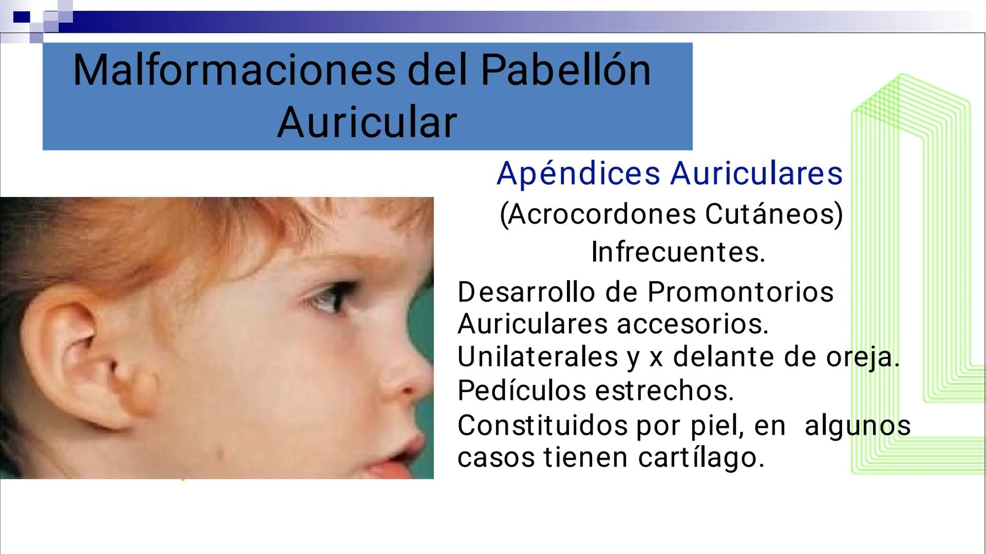 TRANSFORMA TU MUNDO EN
LA U MÁS TOP DE LA REGIÓN. @ussipan
USS
Universidad
Señor de Sipán クク
Universidad
Señor de Sipán
TEMA N° 10
EMBRI