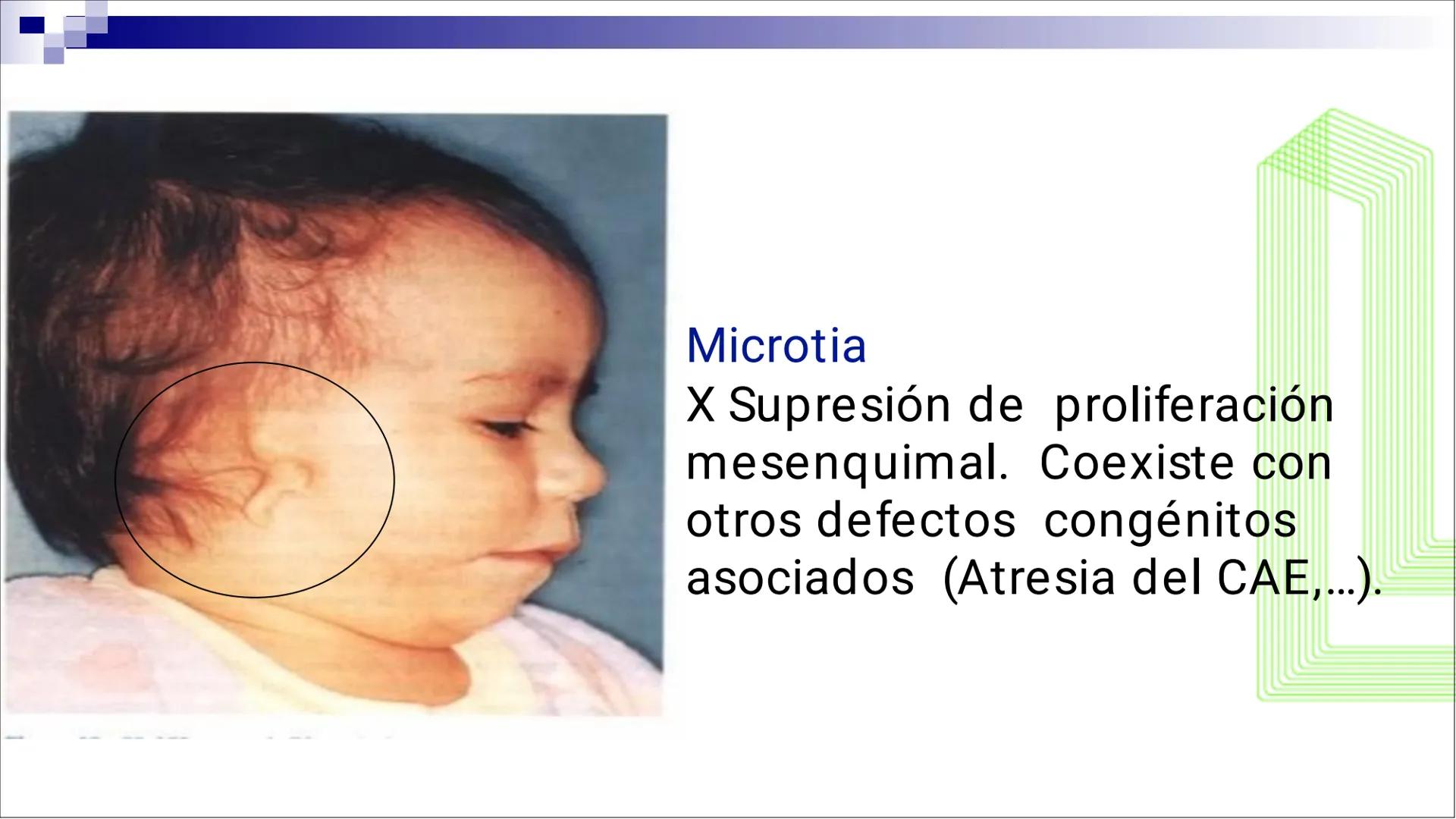 TRANSFORMA TU MUNDO EN
LA U MÁS TOP DE LA REGIÓN. @ussipan
USS
Universidad
Señor de Sipán クク
Universidad
Señor de Sipán
TEMA N° 10
EMBRI