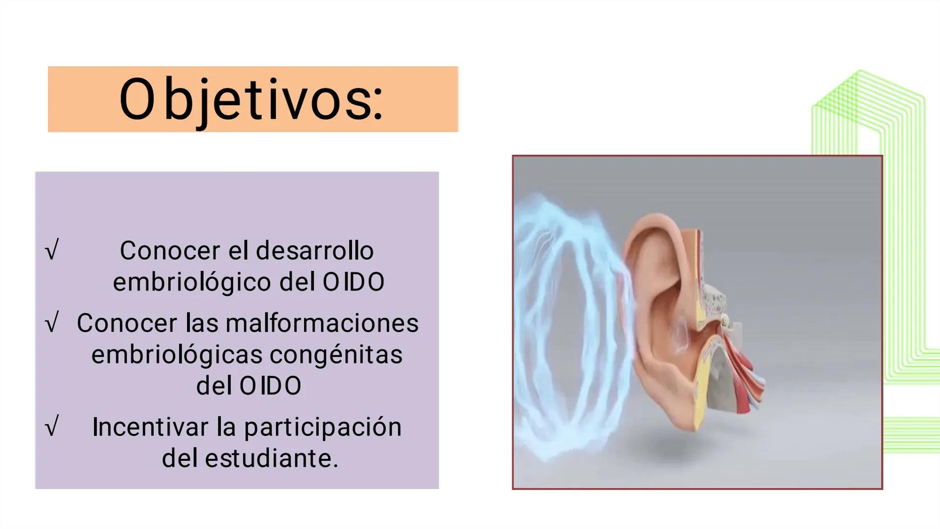 TRANSFORMA TU MUNDO EN
LA U MÁS TOP DE LA REGIÓN. @ussipan
USS
Universidad
Señor de Sipán クク
Universidad
Señor de Sipán
TEMA N° 10
EMBRI