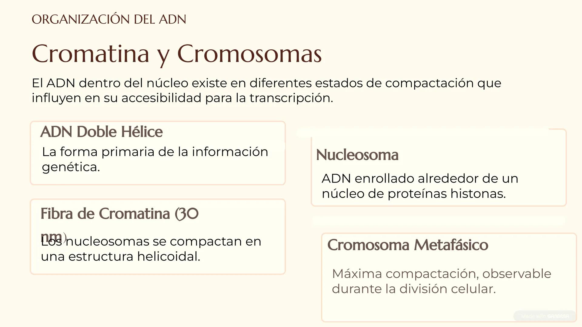 CITOLOGÍA II
Núcleo
Eucariota
Nucleolo
Mitocondria
Ribosomas
Procariota
Nucleoide
Cápsula
Flagelo
Pared celular
Membrana plasmática # E