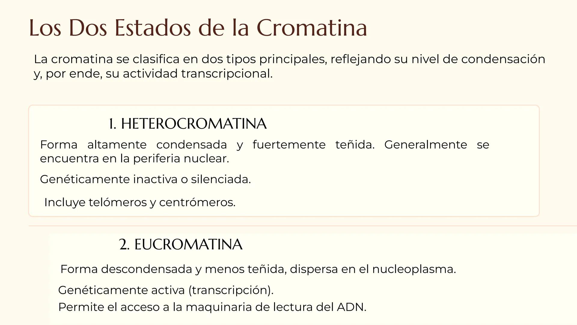 CITOLOGÍA II
Núcleo
Eucariota
Nucleolo
Mitocondria
Ribosomas
Procariota
Nucleoide
Cápsula
Flagelo
Pared celular
Membrana plasmática # E