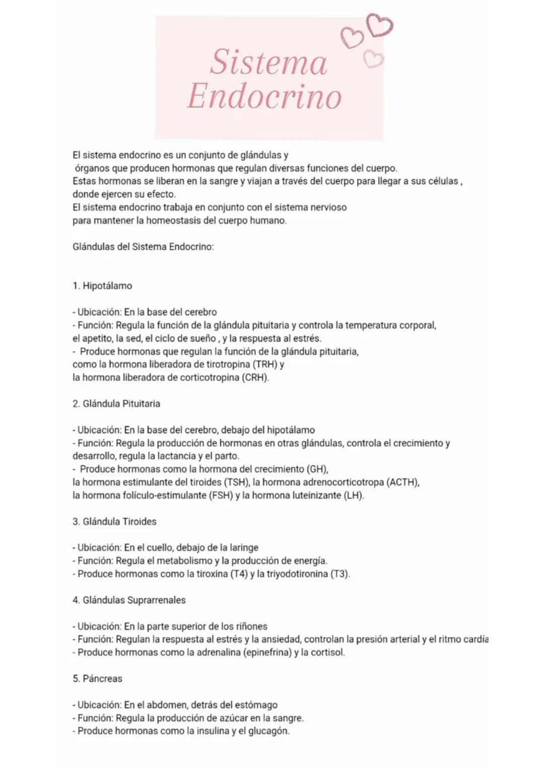 # Sistema
Endocrino
El sistema endocrino es un conjunto de glándulas y
órganos que producen hormonas que regulan diversas funciones del cue