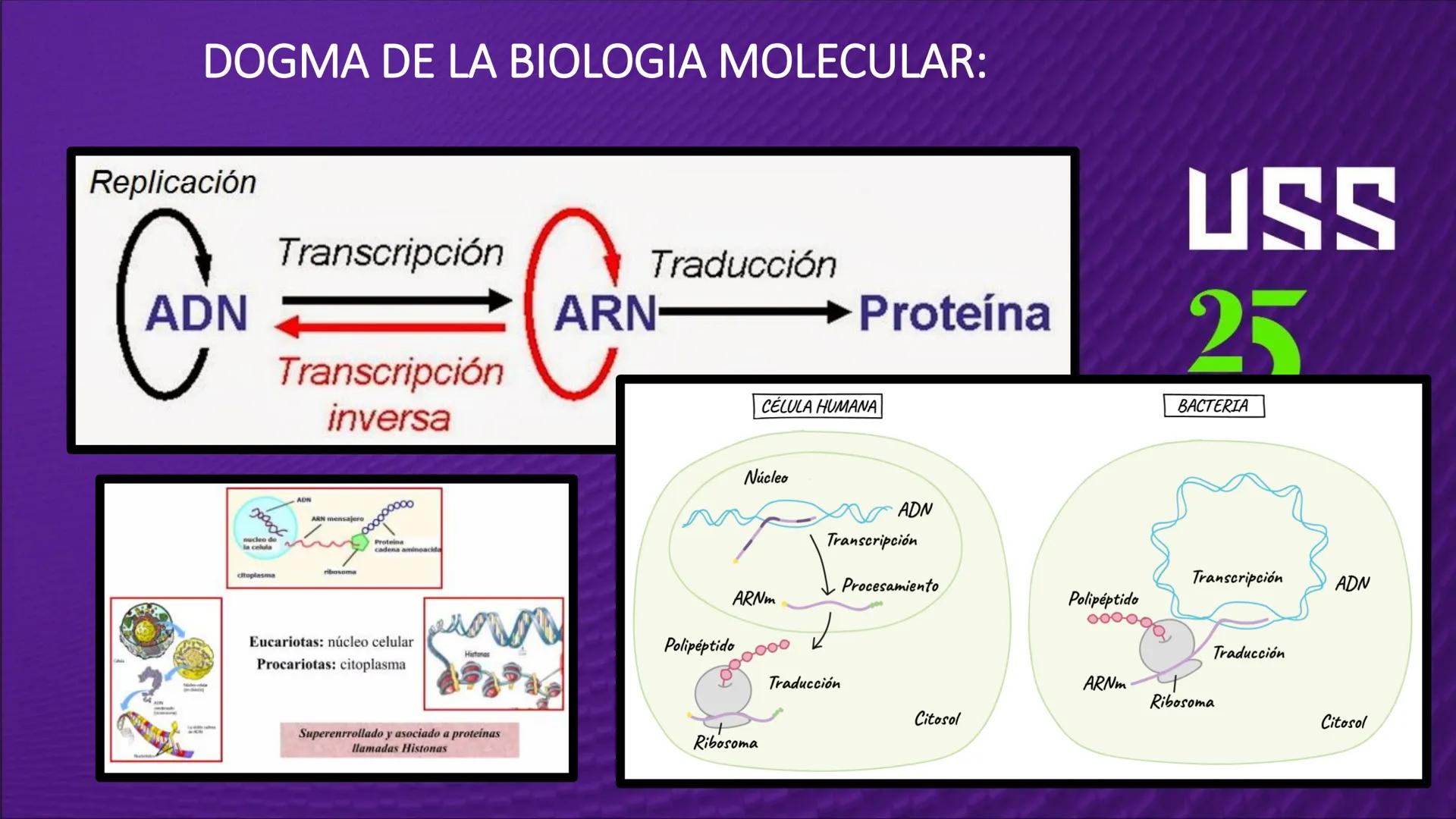 Transforma tu
MUNDO
SEMANA N° 10: GENES Y GENOMA
BIOLOGIA CELULAR Y MOLECULAR – PRÁCTICA
-
Docente: Mg Omar Dávila Campos
USS
25
Años # T