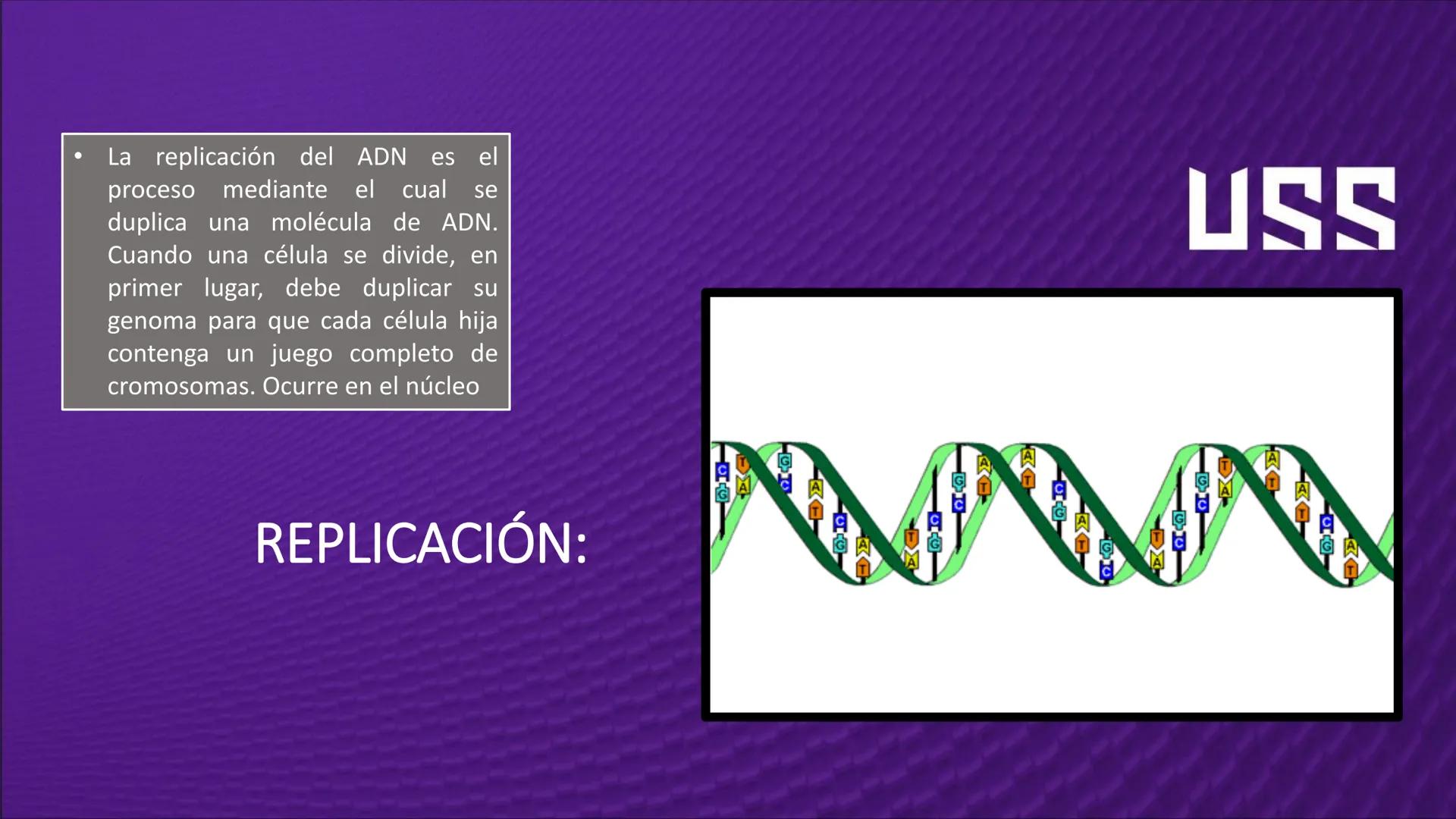 Transforma tu
MUNDO
SEMANA N° 10: GENES Y GENOMA
BIOLOGIA CELULAR Y MOLECULAR – PRÁCTICA
-
Docente: Mg Omar Dávila Campos
USS
25
Años # T