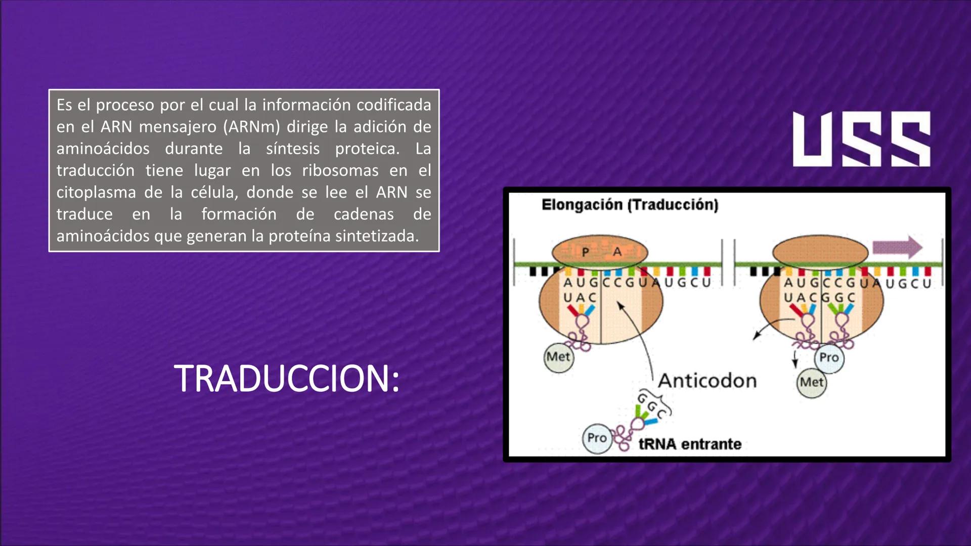 Transforma tu
MUNDO
SEMANA N° 10: GENES Y GENOMA
BIOLOGIA CELULAR Y MOLECULAR – PRÁCTICA
-
Docente: Mg Omar Dávila Campos
USS
25
Años # T