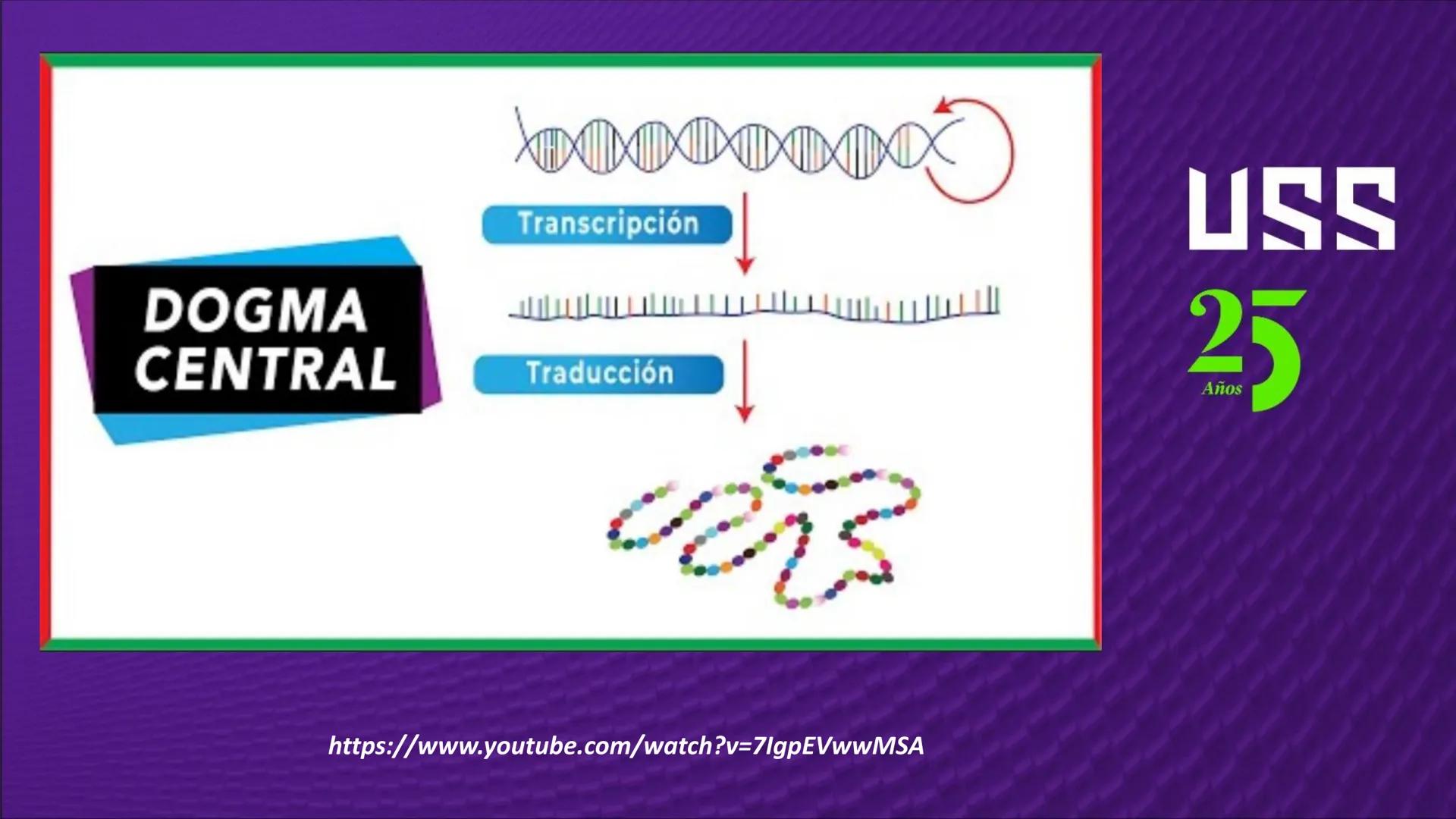 Transforma tu
MUNDO
SEMANA N° 10: GENES Y GENOMA
BIOLOGIA CELULAR Y MOLECULAR – PRÁCTICA
-
Docente: Mg Omar Dávila Campos
USS
25
Años # T