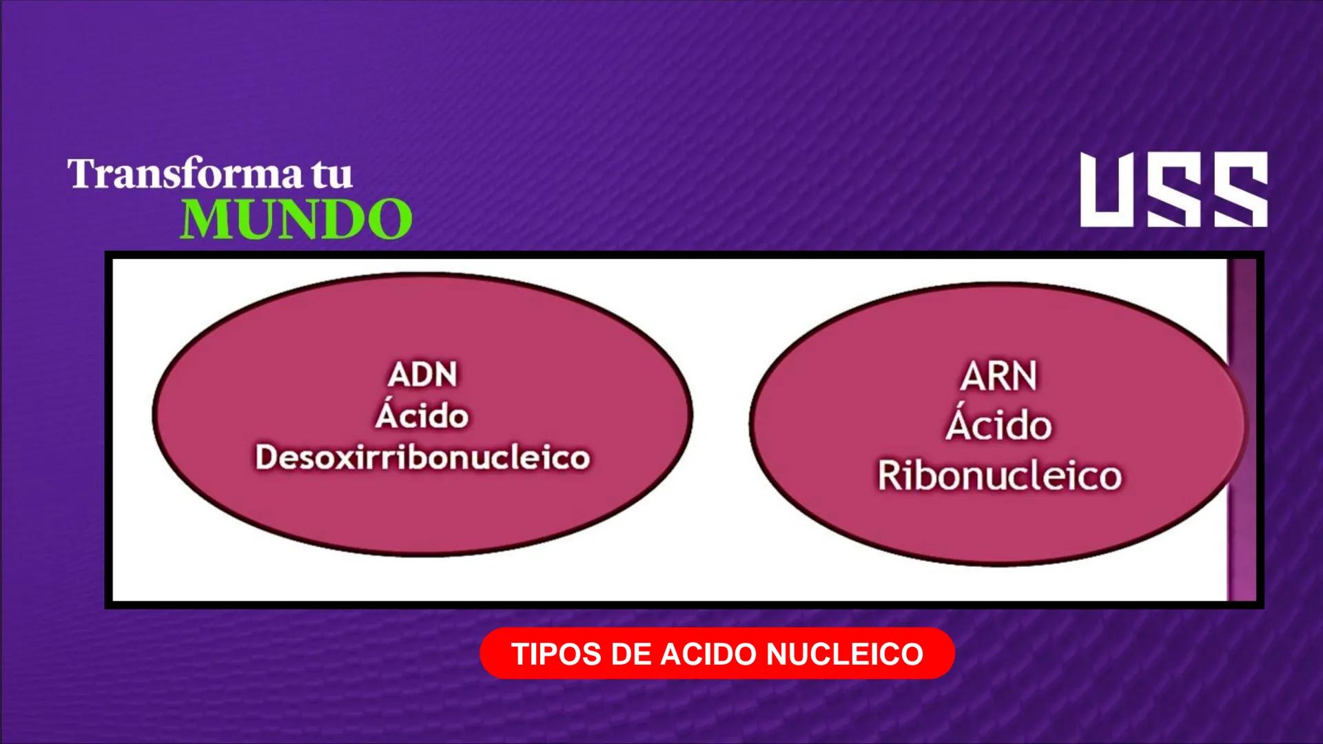 Transforma tu
MUNDO
SEMANA N° 10: GENES Y GENOMA
BIOLOGIA CELULAR Y MOLECULAR – PRÁCTICA
-
Docente: Mg Omar Dávila Campos
USS
25
Años # T