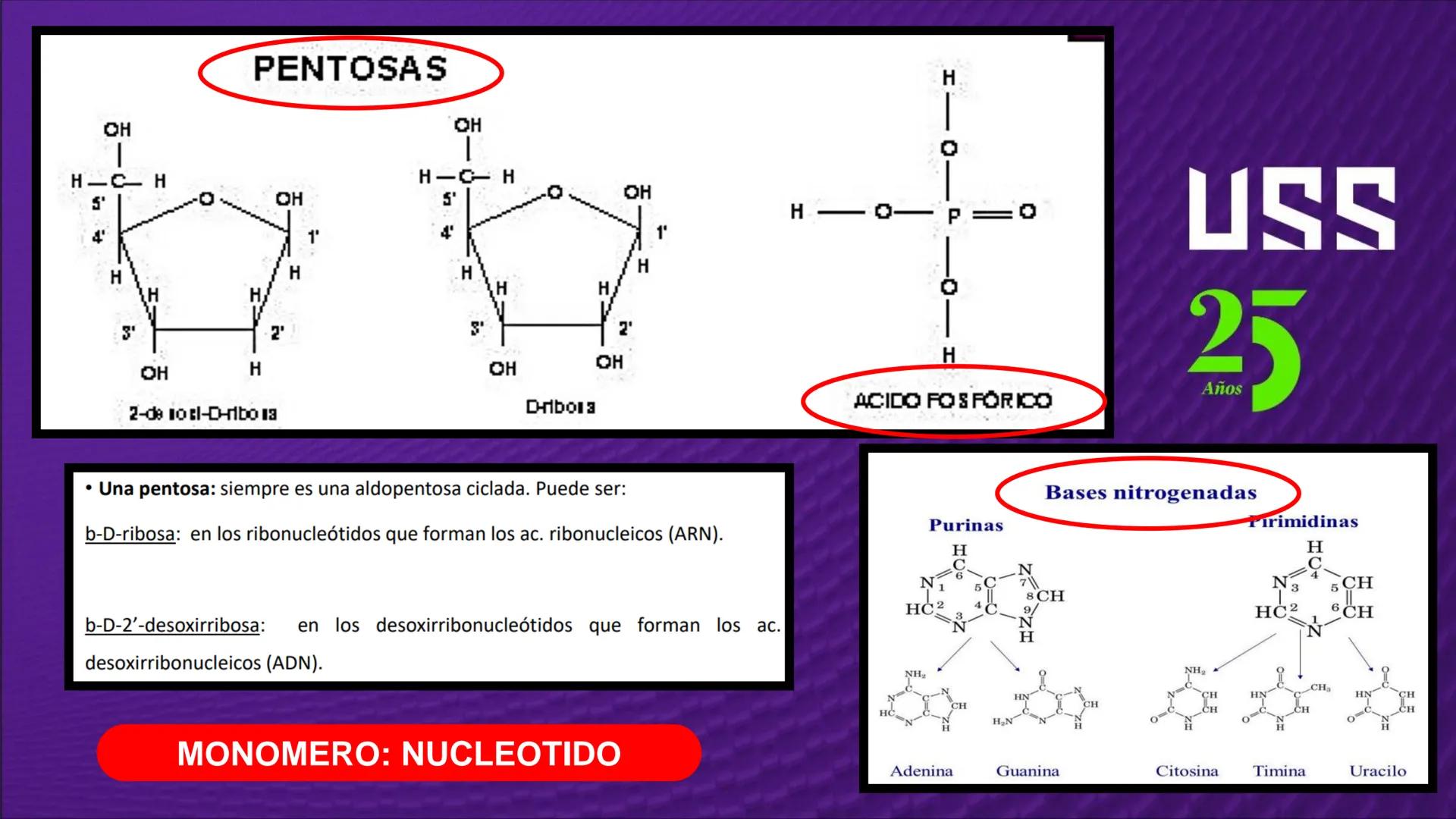 Transforma tu
MUNDO
SEMANA N° 10: GENES Y GENOMA
BIOLOGIA CELULAR Y MOLECULAR – PRÁCTICA
-
Docente: Mg Omar Dávila Campos
USS
25
Años # T