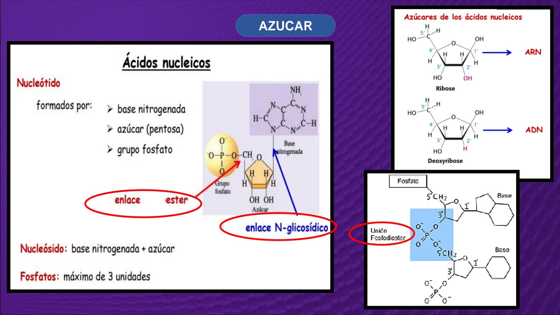Transforma tu
MUNDO
SEMANA N° 10: GENES Y GENOMA
BIOLOGIA CELULAR Y MOLECULAR – PRÁCTICA
-
Docente: Mg Omar Dávila Campos
USS
25
Años # T