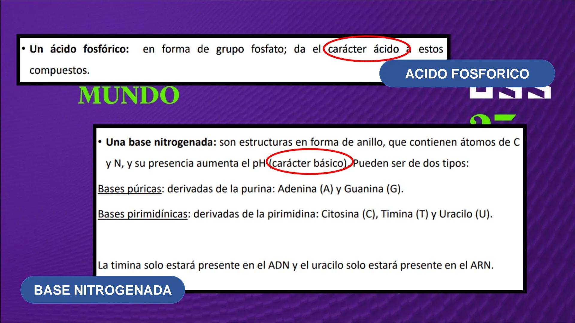 Transforma tu
MUNDO
SEMANA N° 10: GENES Y GENOMA
BIOLOGIA CELULAR Y MOLECULAR – PRÁCTICA
-
Docente: Mg Omar Dávila Campos
USS
25
Años # T