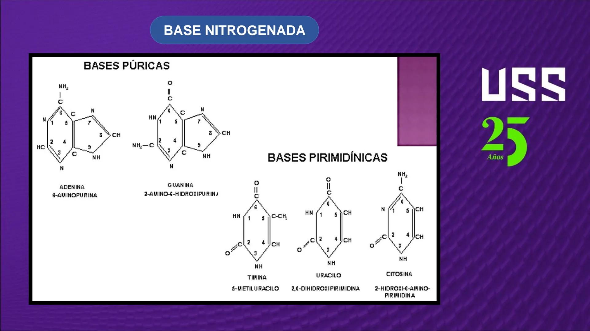Transforma tu
MUNDO
SEMANA N° 10: GENES Y GENOMA
BIOLOGIA CELULAR Y MOLECULAR – PRÁCTICA
-
Docente: Mg Omar Dávila Campos
USS
25
Años # T
