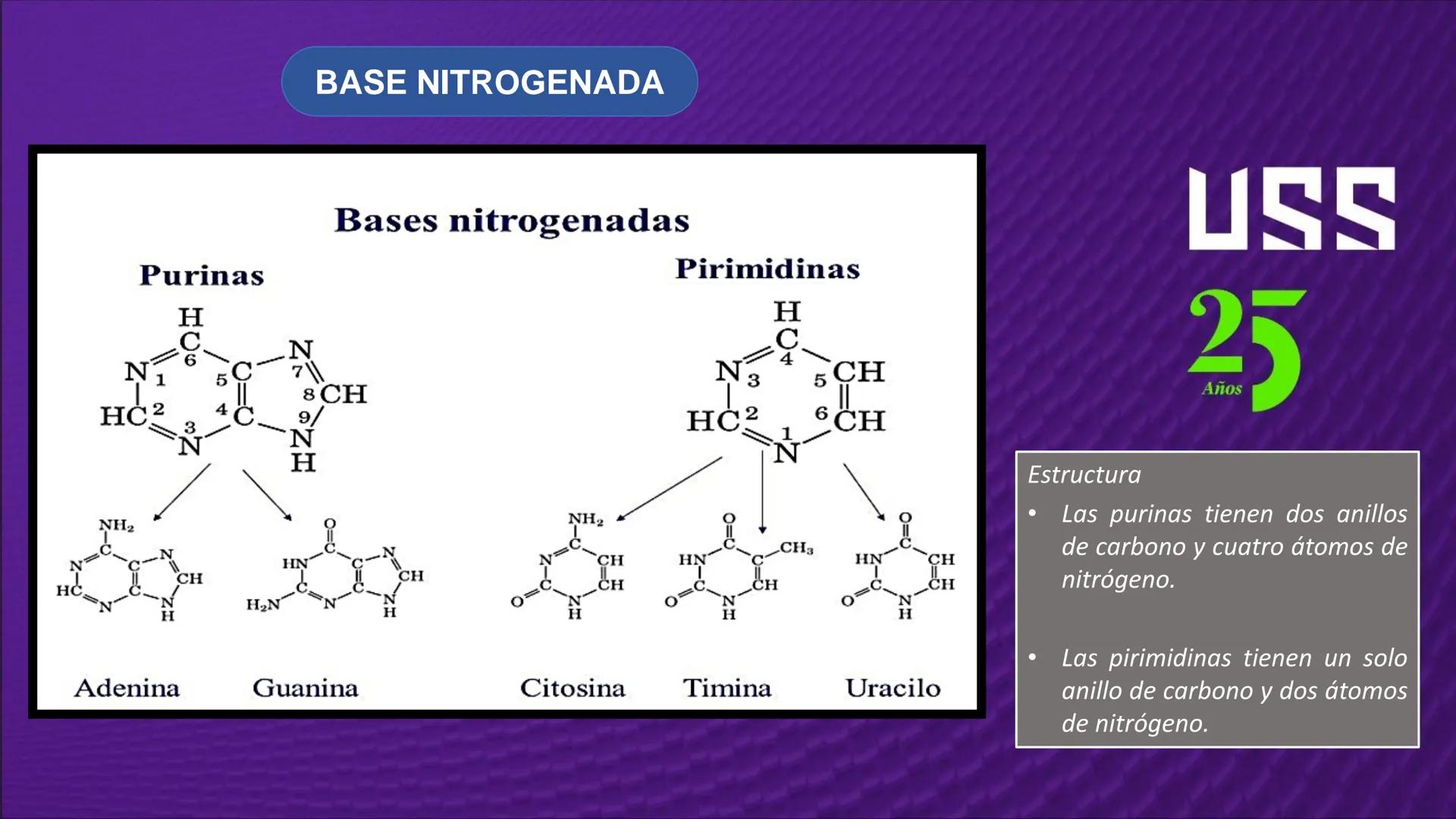 Transforma tu
MUNDO
SEMANA N° 10: GENES Y GENOMA
BIOLOGIA CELULAR Y MOLECULAR – PRÁCTICA
-
Docente: Mg Omar Dávila Campos
USS
25
Años # T