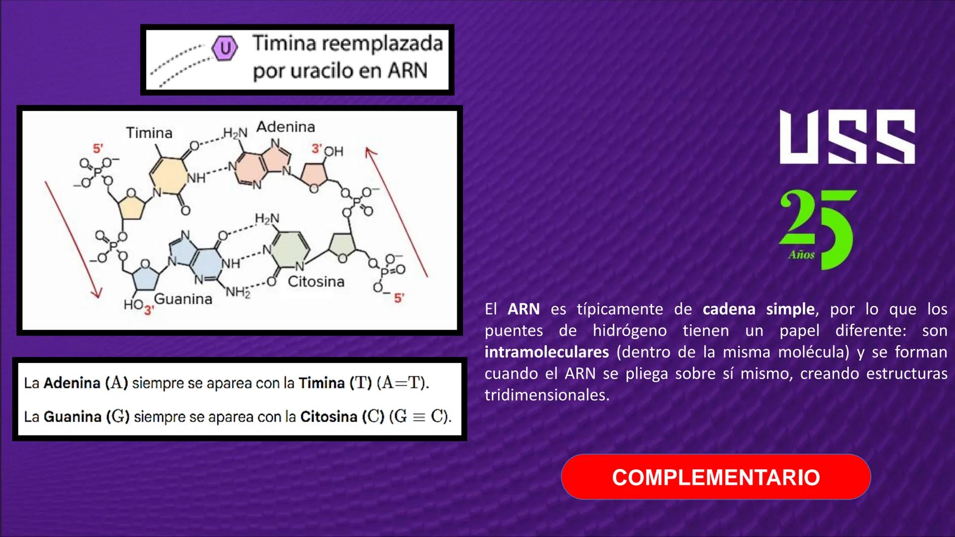 Transforma tu
MUNDO
SEMANA N° 10: GENES Y GENOMA
BIOLOGIA CELULAR Y MOLECULAR – PRÁCTICA
-
Docente: Mg Omar Dávila Campos
USS
25
Años # T