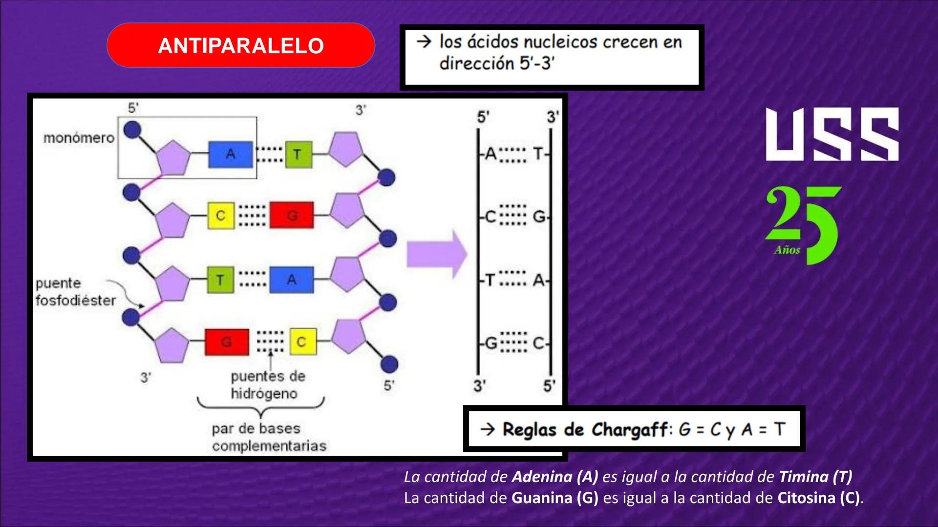Transforma tu
MUNDO
SEMANA N° 10: GENES Y GENOMA
BIOLOGIA CELULAR Y MOLECULAR – PRÁCTICA
-
Docente: Mg Omar Dávila Campos
USS
25
Años # T