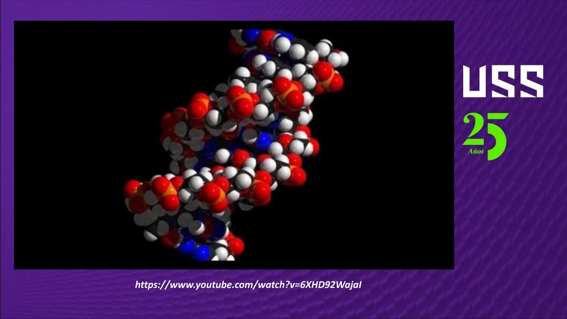 Transforma tu
MUNDO
SEMANA N° 10: GENES Y GENOMA
BIOLOGIA CELULAR Y MOLECULAR – PRÁCTICA
-
Docente: Mg Omar Dávila Campos
USS
25
Años # T