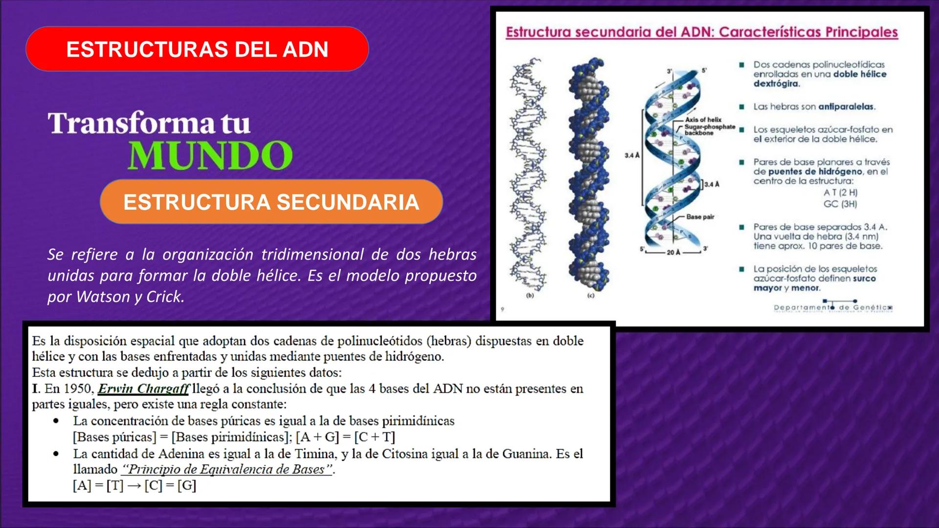 Transforma tu
MUNDO
SEMANA N° 10: GENES Y GENOMA
BIOLOGIA CELULAR Y MOLECULAR – PRÁCTICA
-
Docente: Mg Omar Dávila Campos
USS
25
Años # T