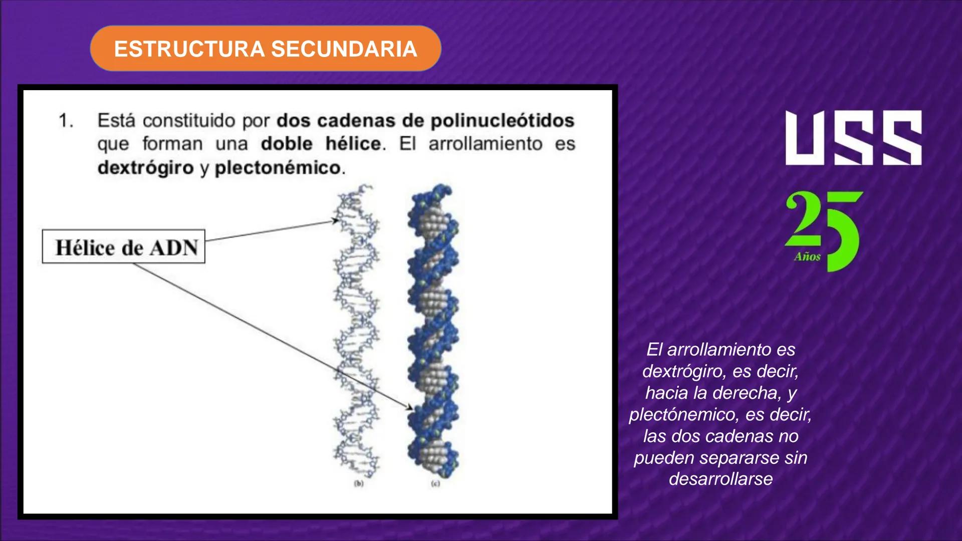 Transforma tu
MUNDO
SEMANA N° 10: GENES Y GENOMA
BIOLOGIA CELULAR Y MOLECULAR – PRÁCTICA
-
Docente: Mg Omar Dávila Campos
USS
25
Años # T