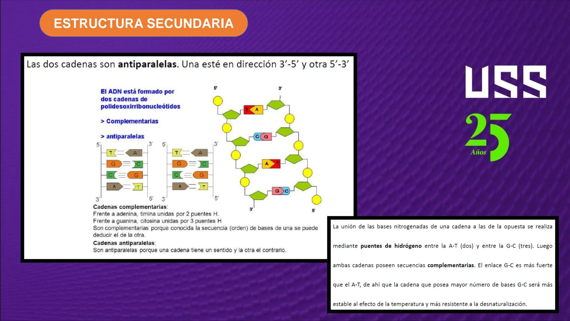 Transforma tu
MUNDO
SEMANA N° 10: GENES Y GENOMA
BIOLOGIA CELULAR Y MOLECULAR – PRÁCTICA
-
Docente: Mg Omar Dávila Campos
USS
25
Años # T