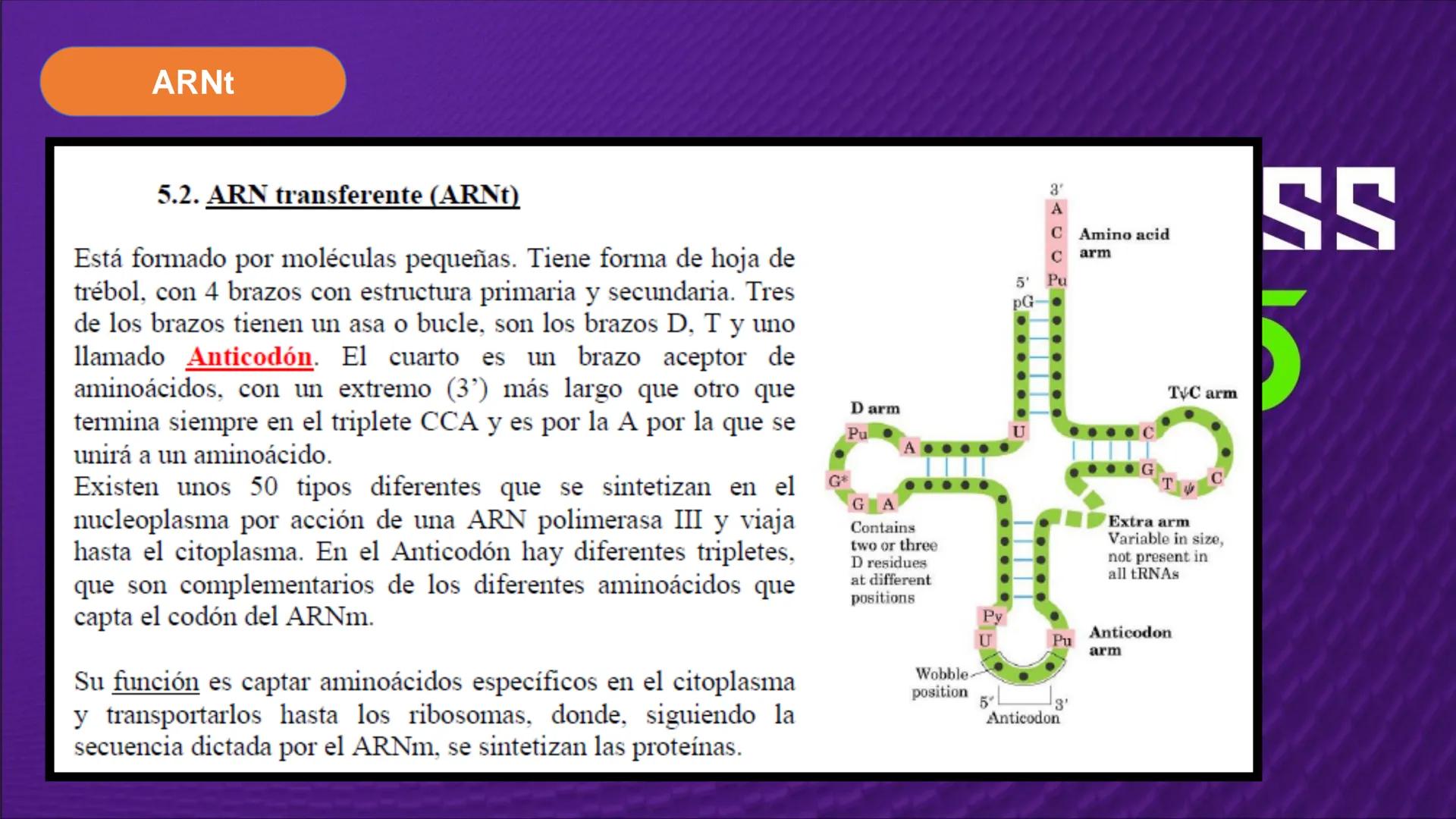 Transforma tu
MUNDO
SEMANA N° 10: GENES Y GENOMA
BIOLOGIA CELULAR Y MOLECULAR – PRÁCTICA
-
Docente: Mg Omar Dávila Campos
USS
25
Años # T