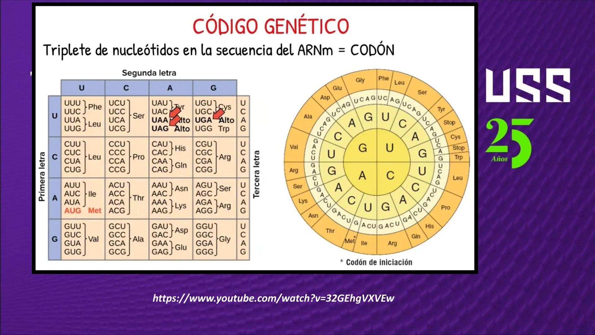 Transforma tu
MUNDO
SEMANA N° 10: GENES Y GENOMA
BIOLOGIA CELULAR Y MOLECULAR – PRÁCTICA
-
Docente: Mg Omar Dávila Campos
USS
25
Años # T