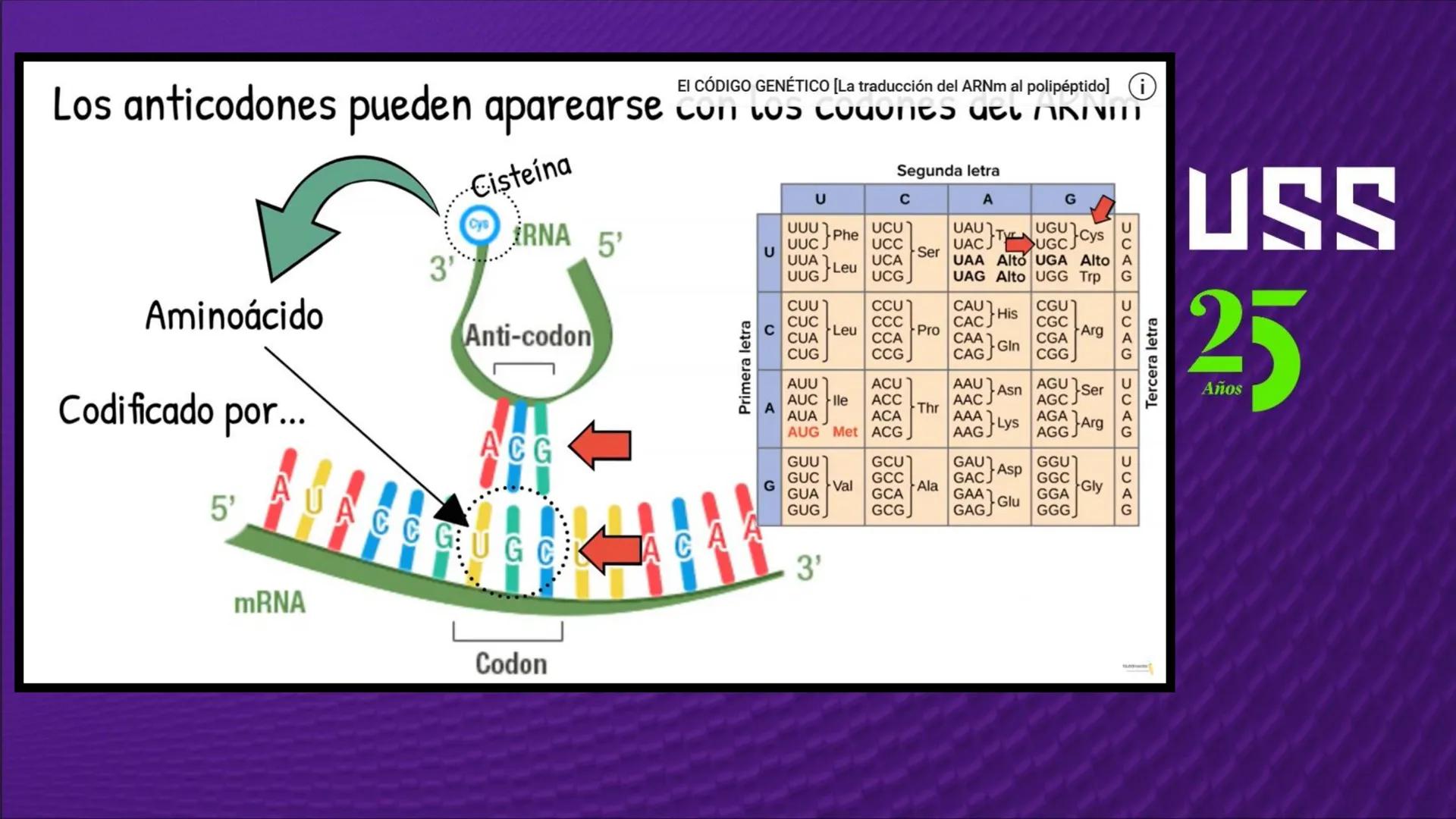 Transforma tu
MUNDO
SEMANA N° 10: GENES Y GENOMA
BIOLOGIA CELULAR Y MOLECULAR – PRÁCTICA
-
Docente: Mg Omar Dávila Campos
USS
25
Años # T