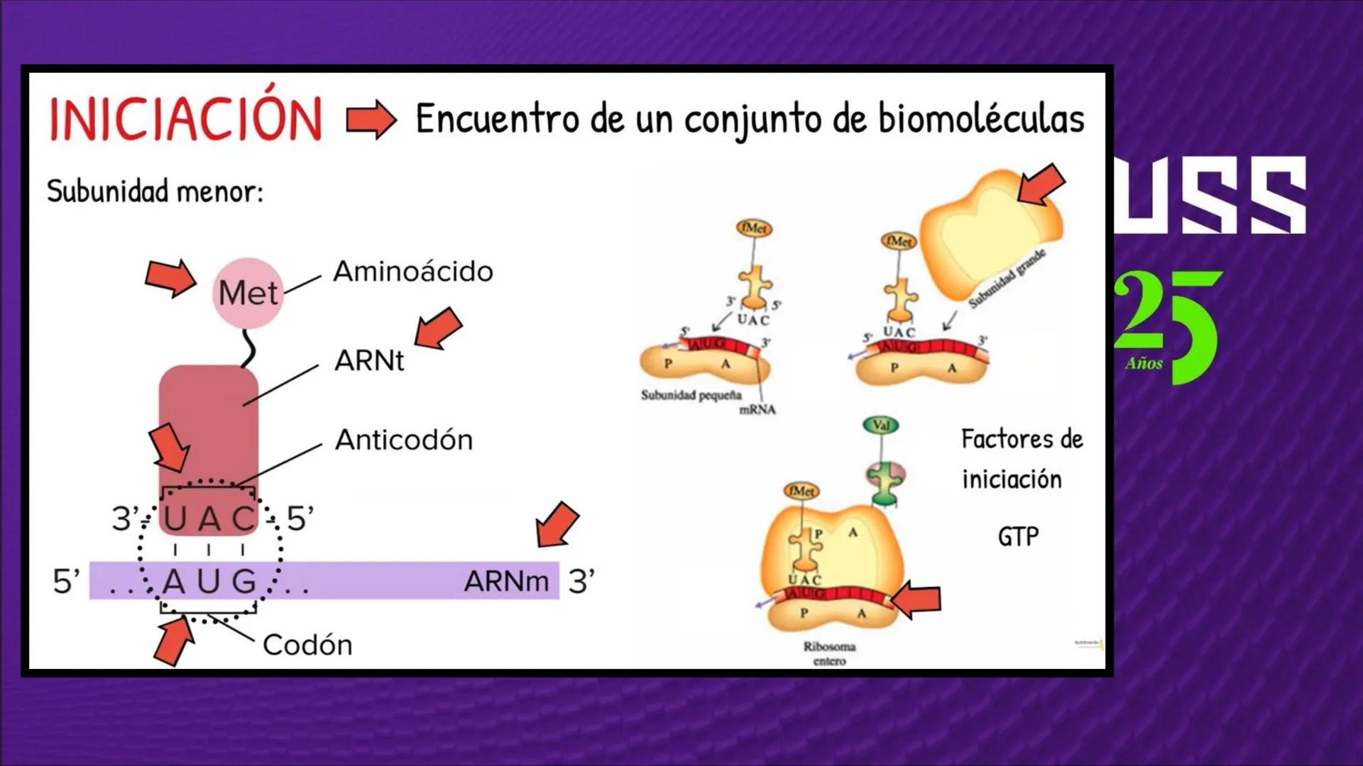 Transforma tu
MUNDO
SEMANA N° 10: GENES Y GENOMA
BIOLOGIA CELULAR Y MOLECULAR – PRÁCTICA
-
Docente: Mg Omar Dávila Campos
USS
25
Años # T