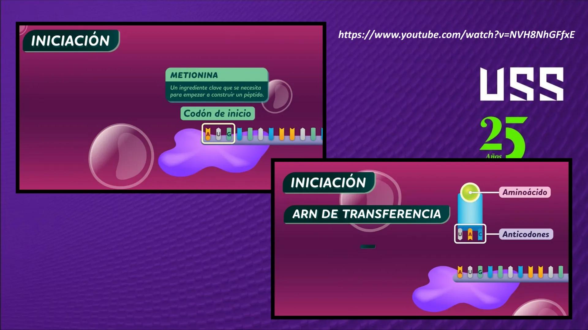 Transforma tu
MUNDO
SEMANA N° 10: GENES Y GENOMA
BIOLOGIA CELULAR Y MOLECULAR – PRÁCTICA
-
Docente: Mg Omar Dávila Campos
USS
25
Años # T