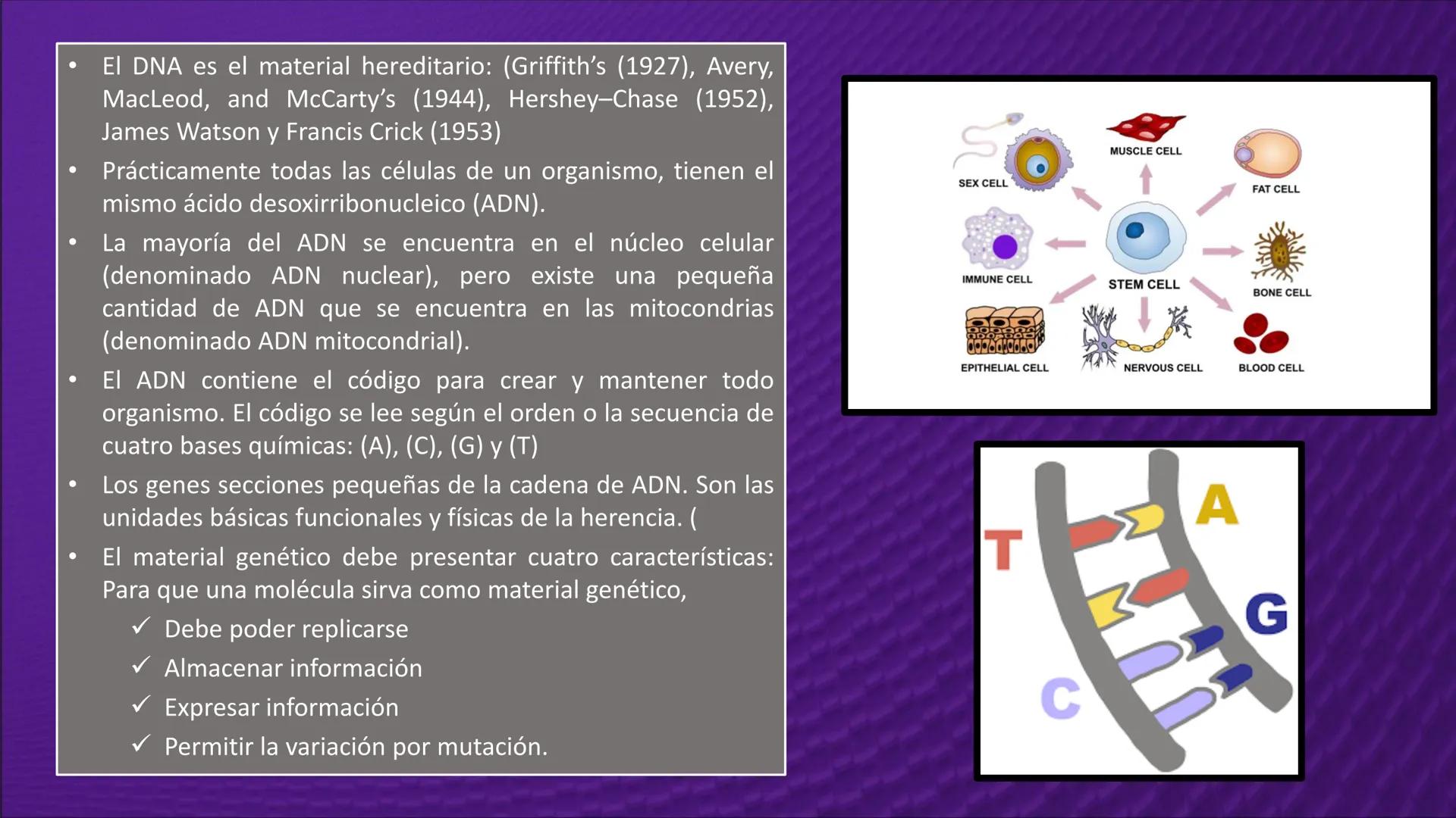 Transforma tu
MUNDO
SEMANA N° 10: GENES Y GENOMA
BIOLOGIA CELULAR Y MOLECULAR – PRÁCTICA
-
Docente: Mg Omar Dávila Campos
USS
25
Años # T
