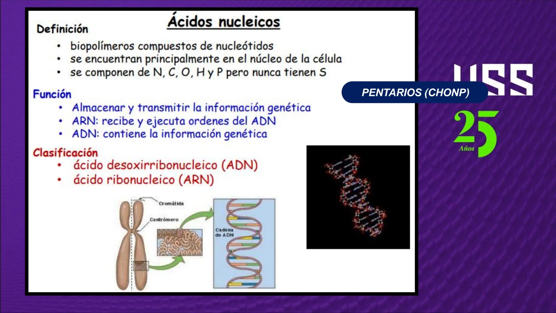 Transforma tu
MUNDO
SEMANA N° 10: GENES Y GENOMA
BIOLOGIA CELULAR Y MOLECULAR – PRÁCTICA
-
Docente: Mg Omar Dávila Campos
USS
25
Años # T