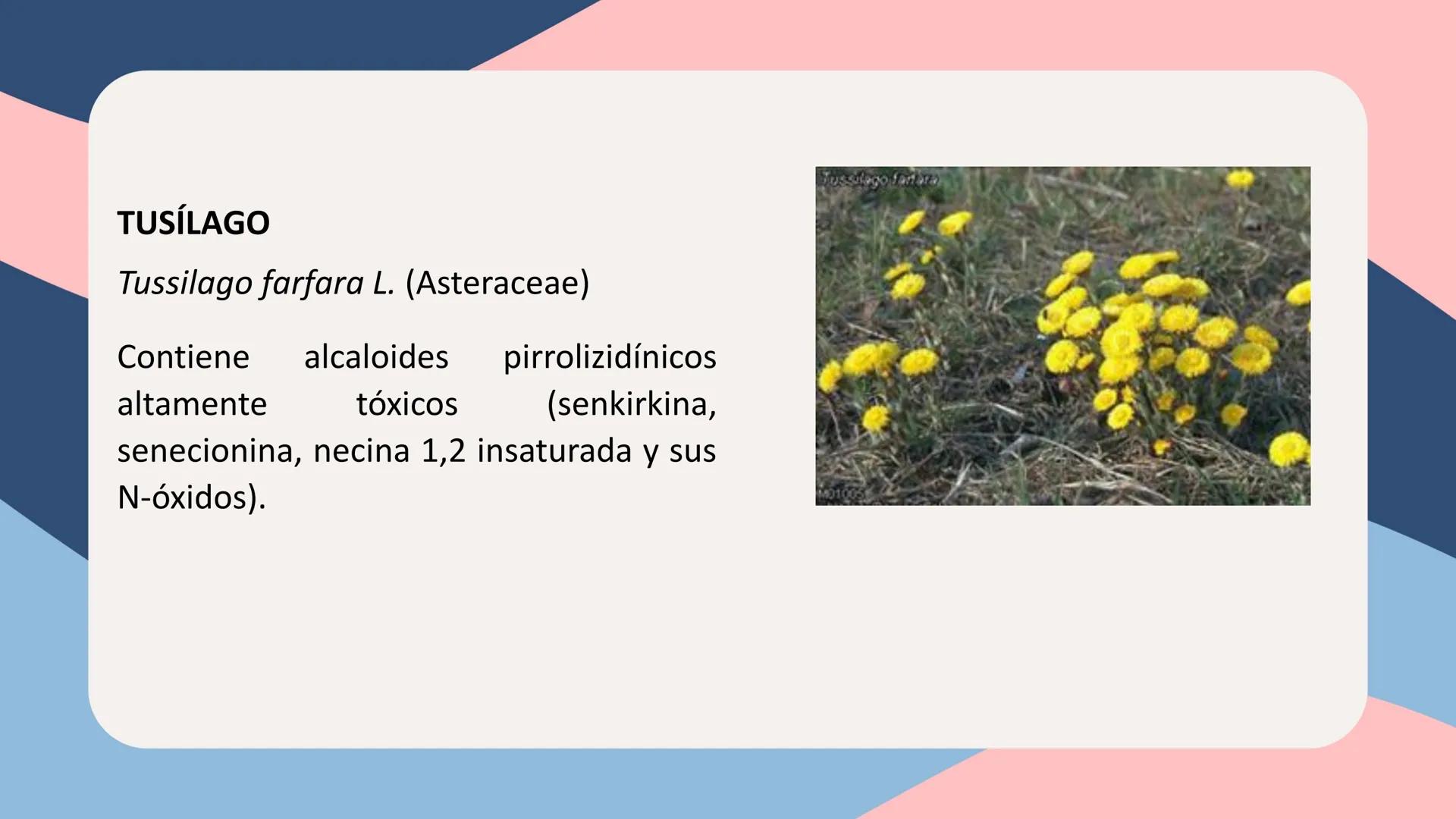 UNIVERSIDAD NACIONAL DE SAN CRISTÓBAL DE HUAMANGA
FACULTAD DE INGENIERÍA QUÍMICA Y METALURGIA
ESCUELA PROFESIONAL DE INGENIERÍA QUÍMICA
# Q