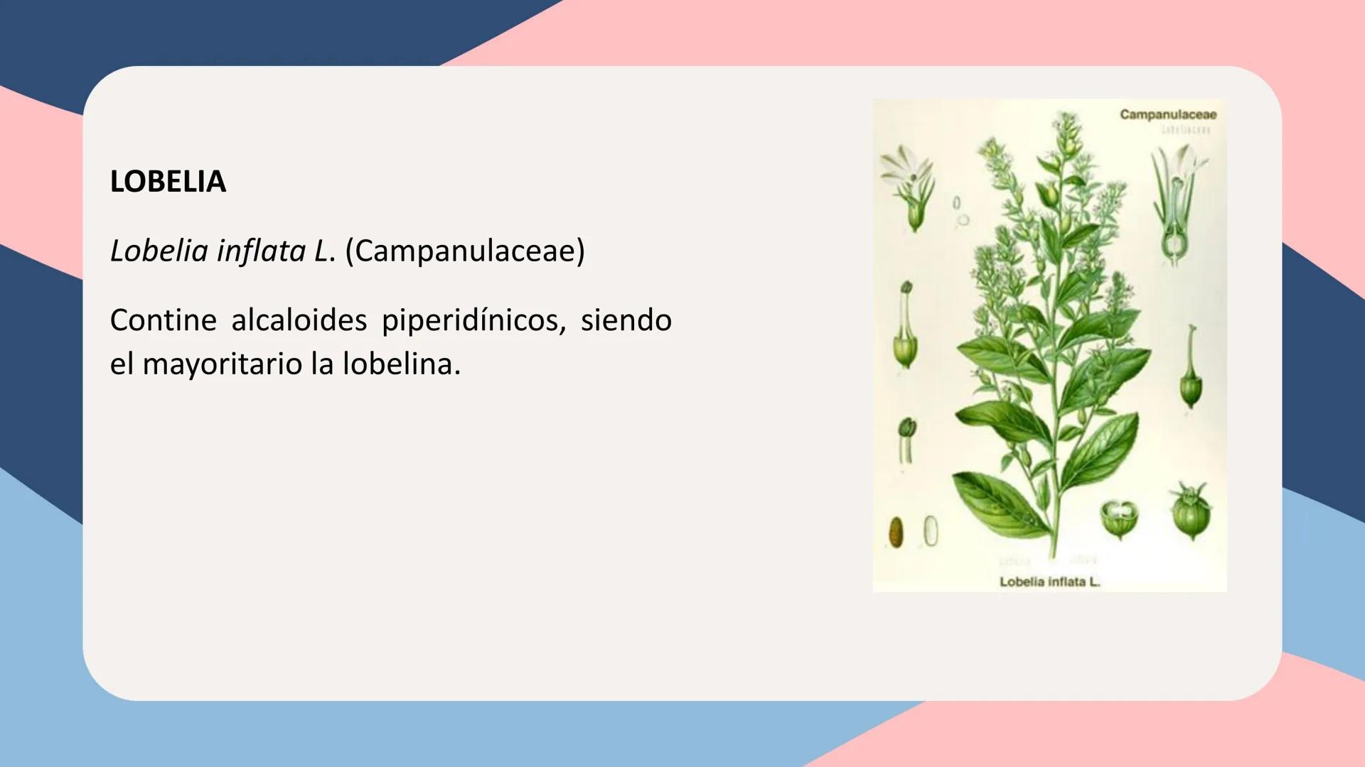 UNIVERSIDAD NACIONAL DE SAN CRISTÓBAL DE HUAMANGA
FACULTAD DE INGENIERÍA QUÍMICA Y METALURGIA
ESCUELA PROFESIONAL DE INGENIERÍA QUÍMICA
# Q