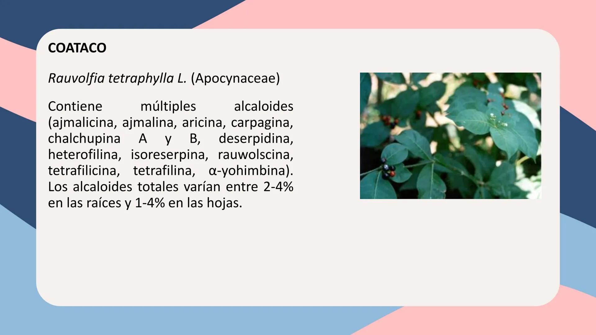 UNIVERSIDAD NACIONAL DE SAN CRISTÓBAL DE HUAMANGA
FACULTAD DE INGENIERÍA QUÍMICA Y METALURGIA
ESCUELA PROFESIONAL DE INGENIERÍA QUÍMICA
# Q