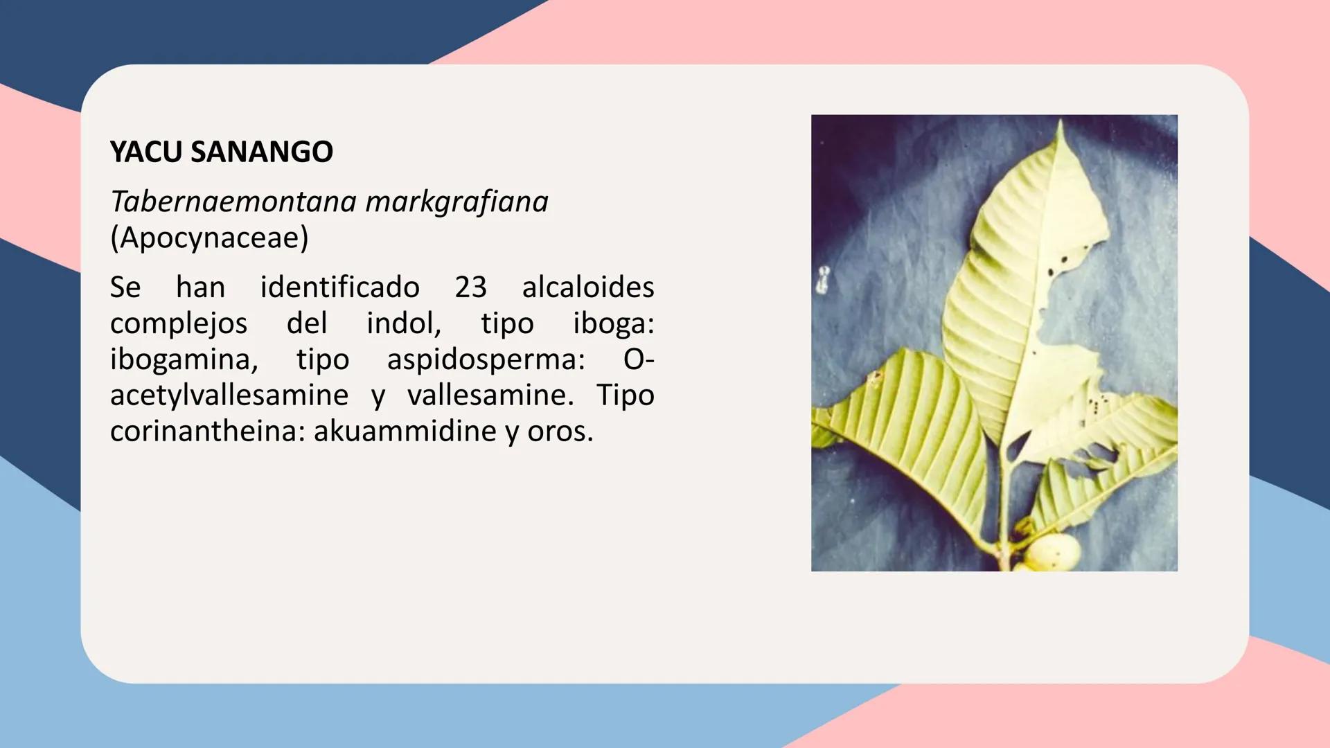 UNIVERSIDAD NACIONAL DE SAN CRISTÓBAL DE HUAMANGA
FACULTAD DE INGENIERÍA QUÍMICA Y METALURGIA
ESCUELA PROFESIONAL DE INGENIERÍA QUÍMICA
# Q