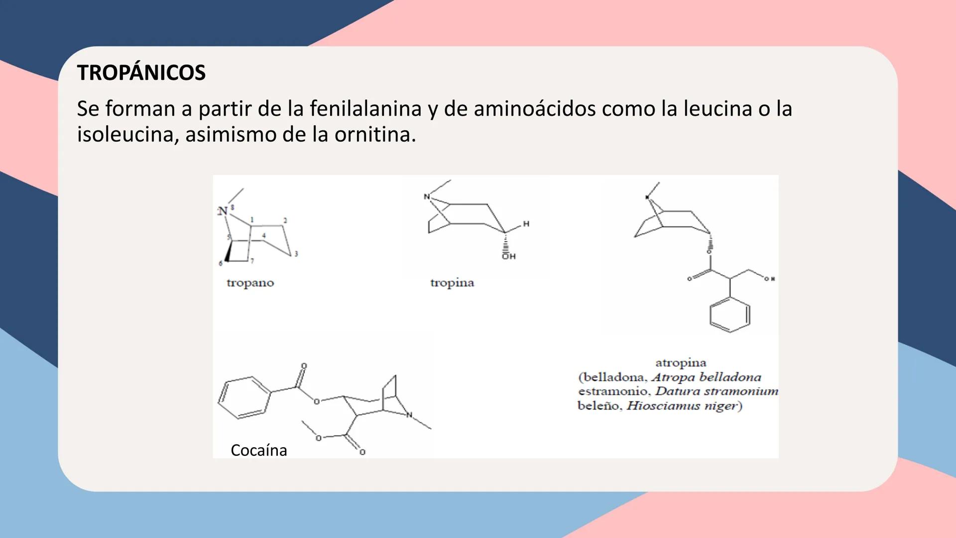 UNIVERSIDAD NACIONAL DE SAN CRISTÓBAL DE HUAMANGA
FACULTAD DE INGENIERÍA QUÍMICA Y METALURGIA
ESCUELA PROFESIONAL DE INGENIERÍA QUÍMICA
# Q