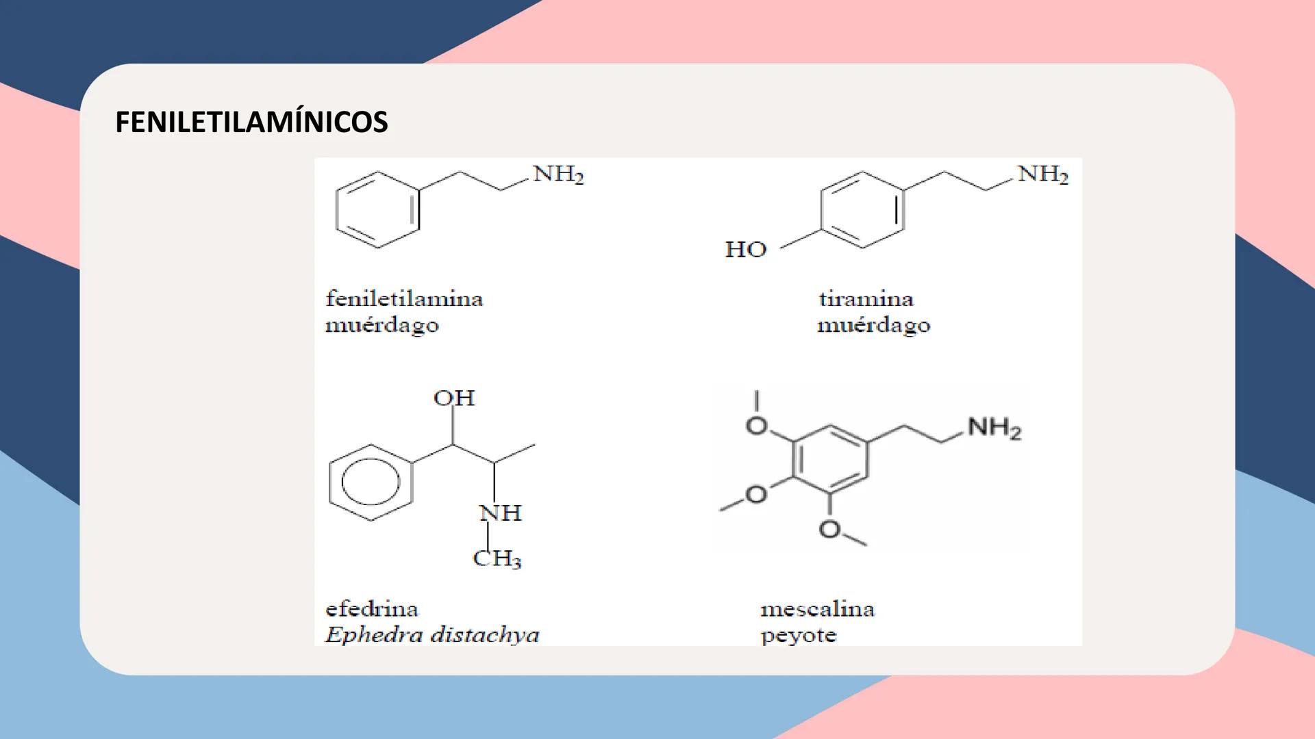 UNIVERSIDAD NACIONAL DE SAN CRISTÓBAL DE HUAMANGA
FACULTAD DE INGENIERÍA QUÍMICA Y METALURGIA
ESCUELA PROFESIONAL DE INGENIERÍA QUÍMICA
# Q