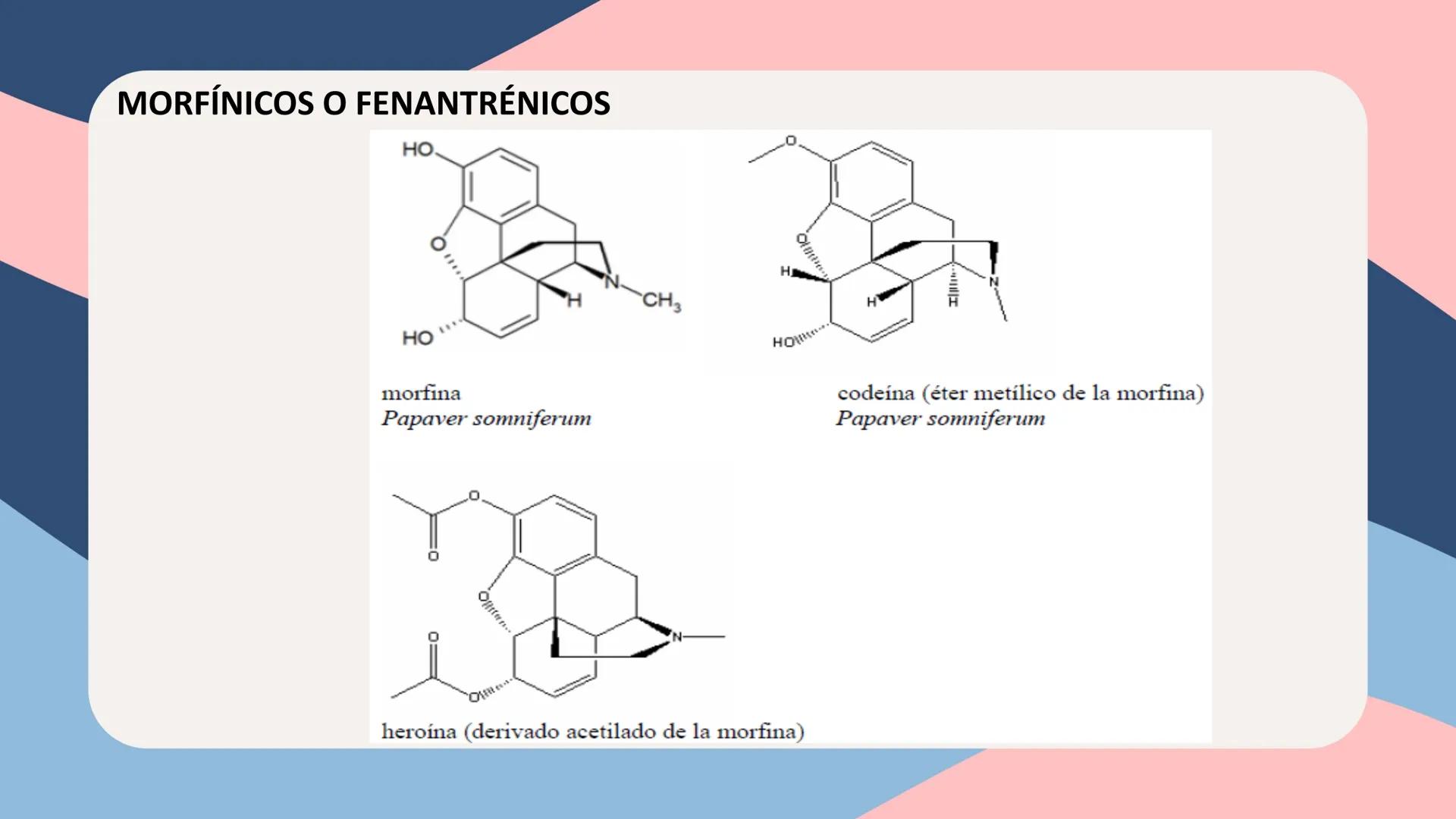 UNIVERSIDAD NACIONAL DE SAN CRISTÓBAL DE HUAMANGA
FACULTAD DE INGENIERÍA QUÍMICA Y METALURGIA
ESCUELA PROFESIONAL DE INGENIERÍA QUÍMICA
# Q