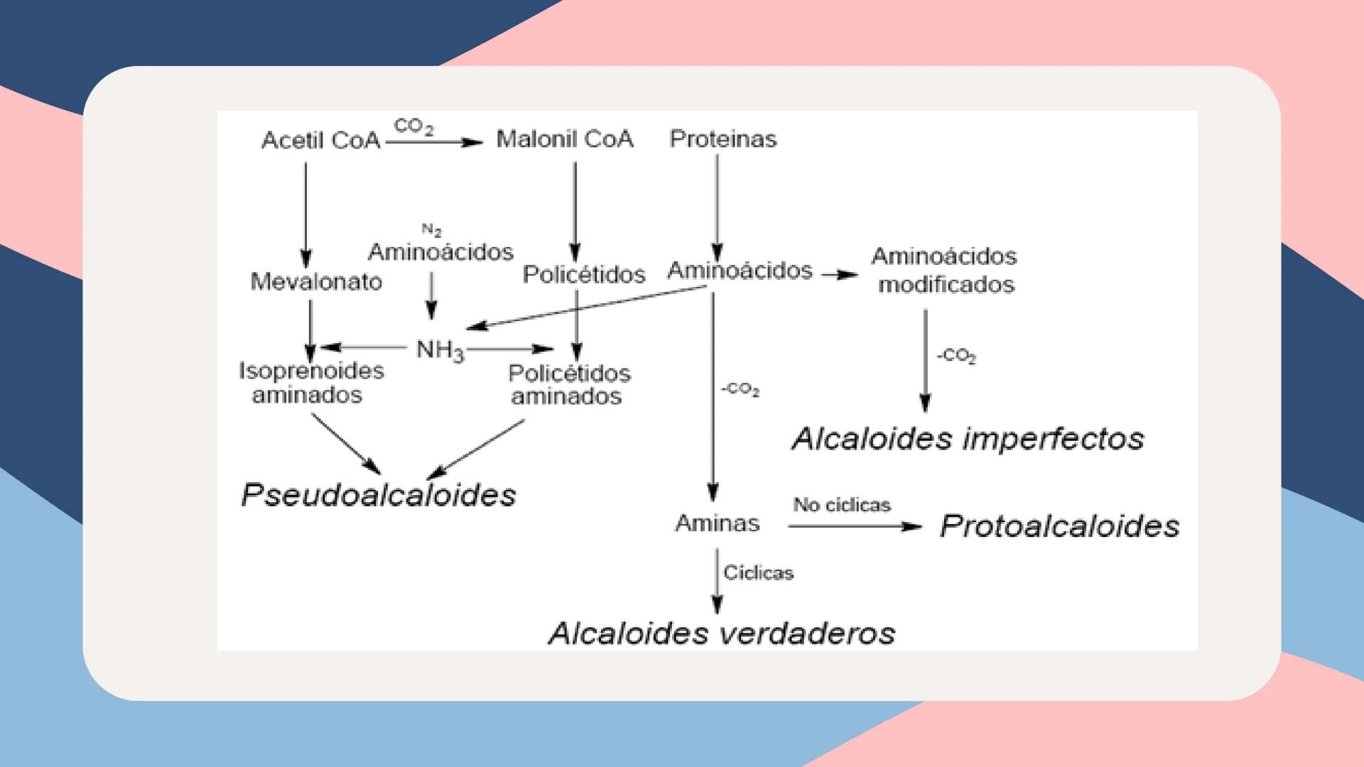 UNIVERSIDAD NACIONAL DE SAN CRISTÓBAL DE HUAMANGA
FACULTAD DE INGENIERÍA QUÍMICA Y METALURGIA
ESCUELA PROFESIONAL DE INGENIERÍA QUÍMICA
# Q