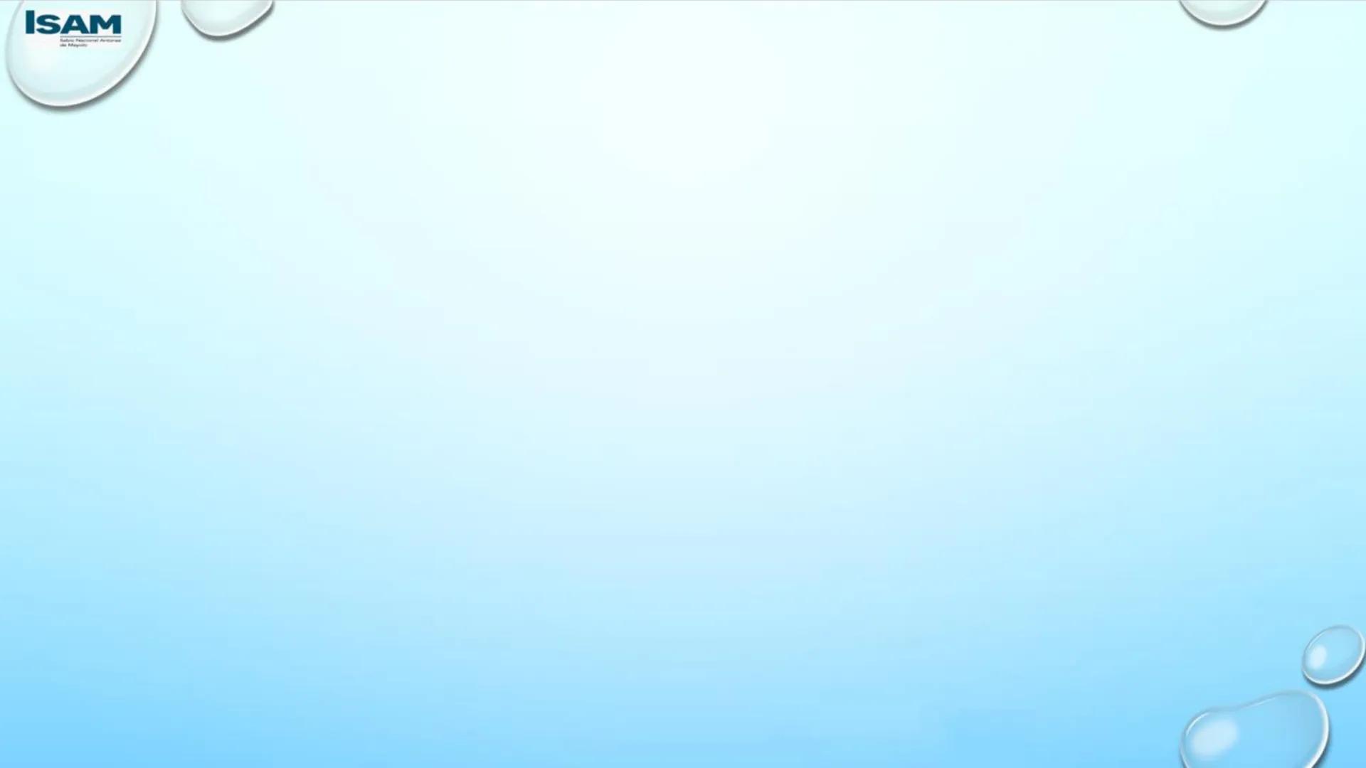 ISAM
Sabio Nacional Antúnez
de Mayolo
# ADMINISTRACIÓN DE
# NEGOCIOS INTERNACIONALES
# PROCESO DE DESPACHO ADUANERO
## II Parcial
M. A