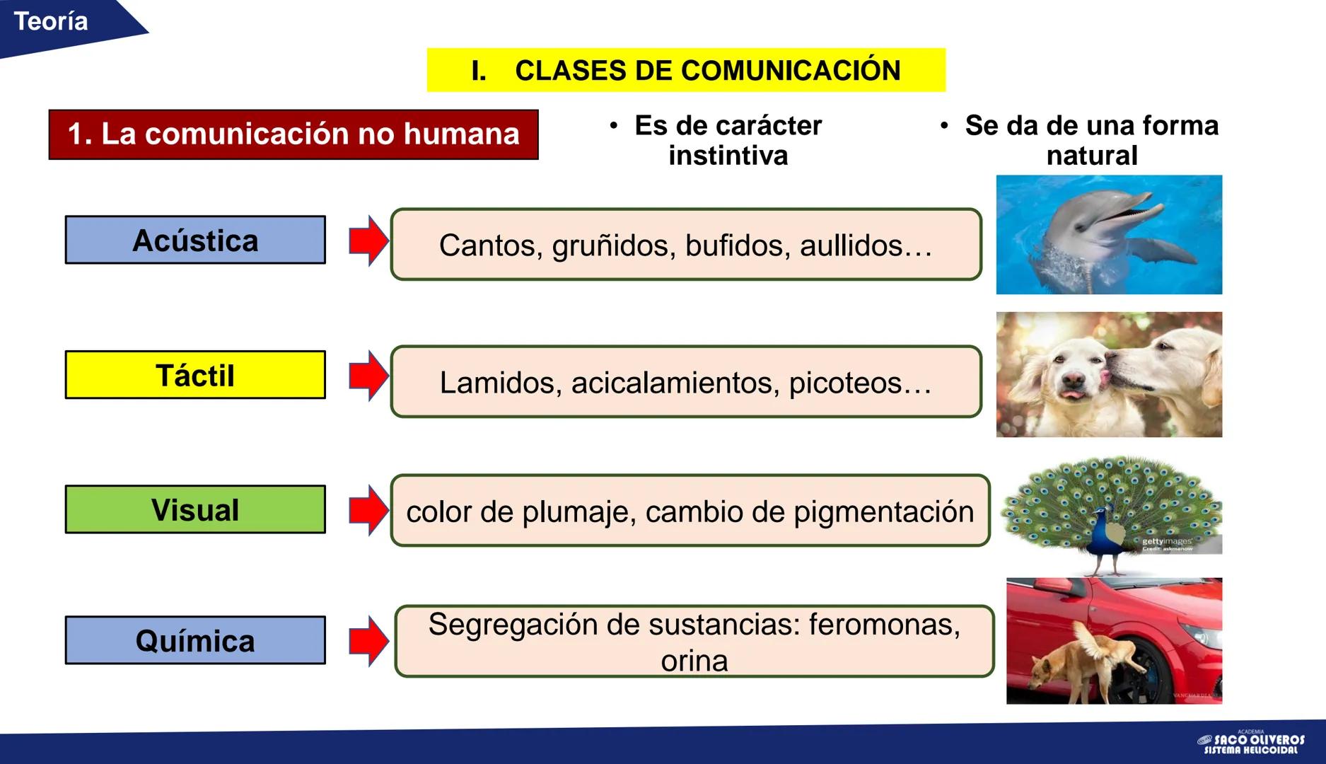 # CAPÍTULO 1
# Lenguaje
# San Marcos
VERANO
La comunicación: elementos y tipos
ACADEMIA
SACO
OLIVEROS
SISTEMA HELICOIDAL Teoría
# La co