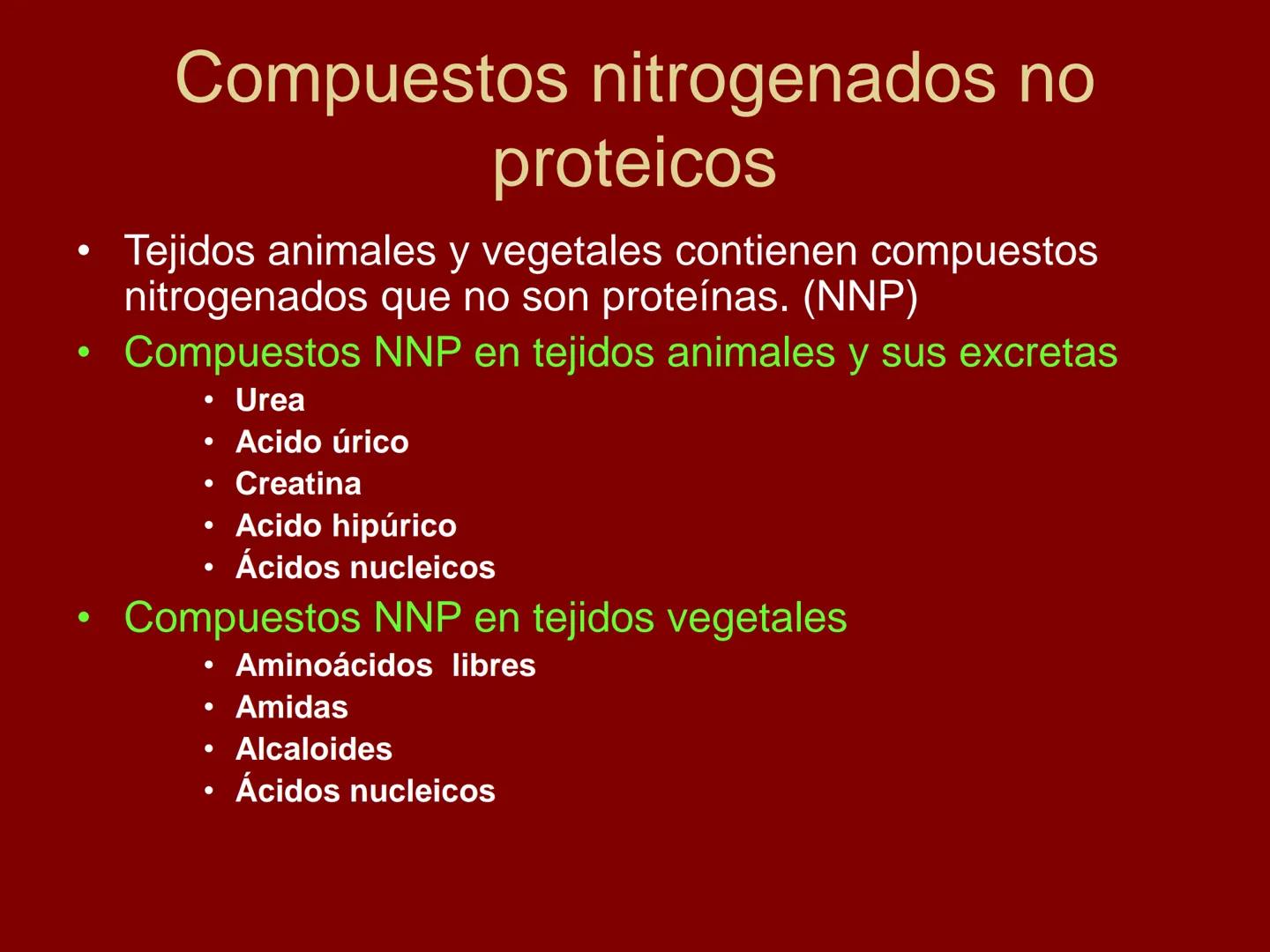 # METABOLISMO DE LAS PROTEINAS
2025 II Conformadas por cadena de aminoácidos
R
H
0
R3
H
0
R5
H
0
R7
H
0
H
CH
N
C
CH
N
C
CH
N
C
CH
N
C
N
